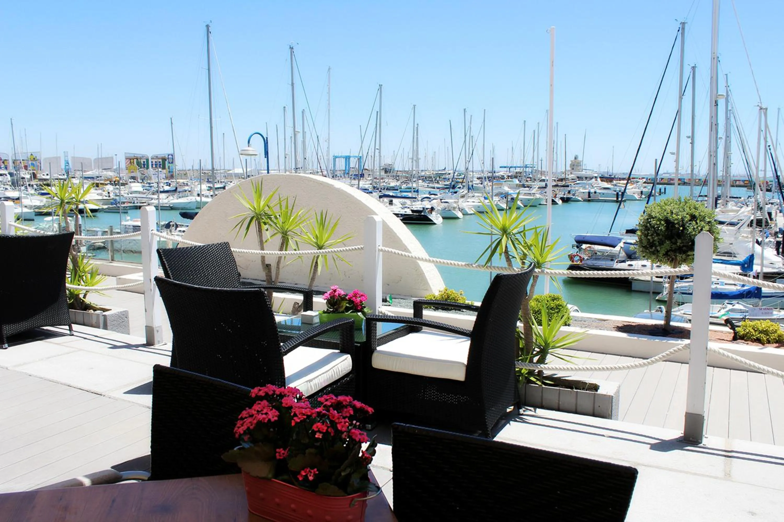 Restaurant/places to eat in Suites Puerto Sherry