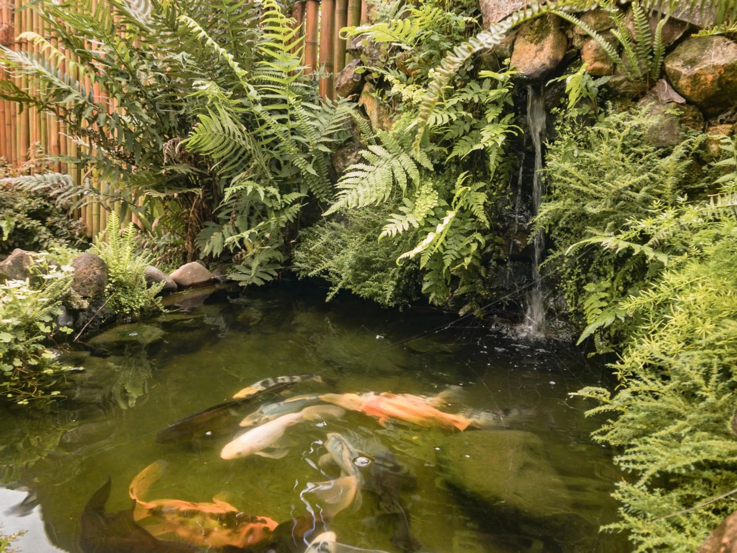 Lake view in Pousada Serrana