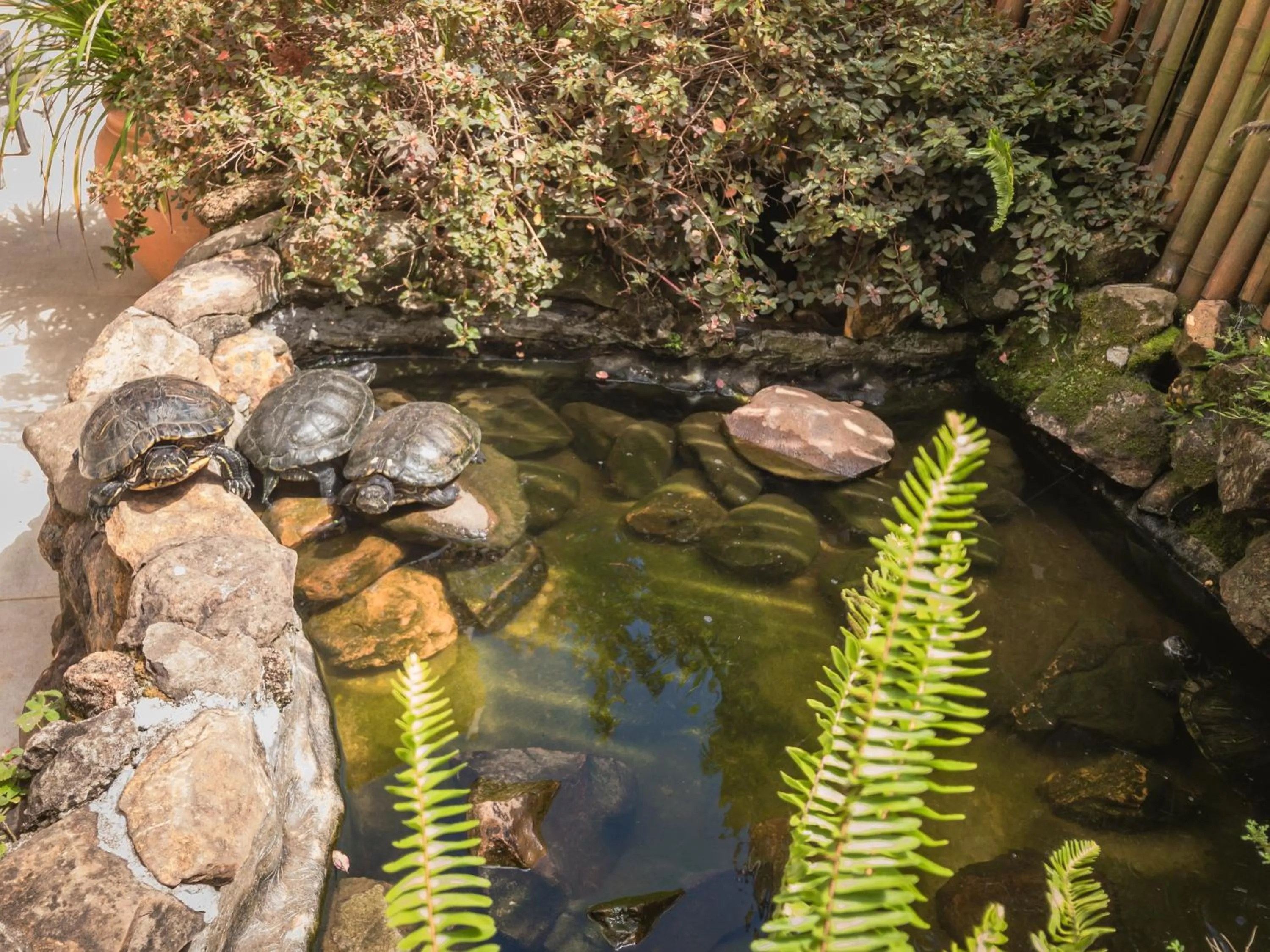 Lake view in Pousada Serrana