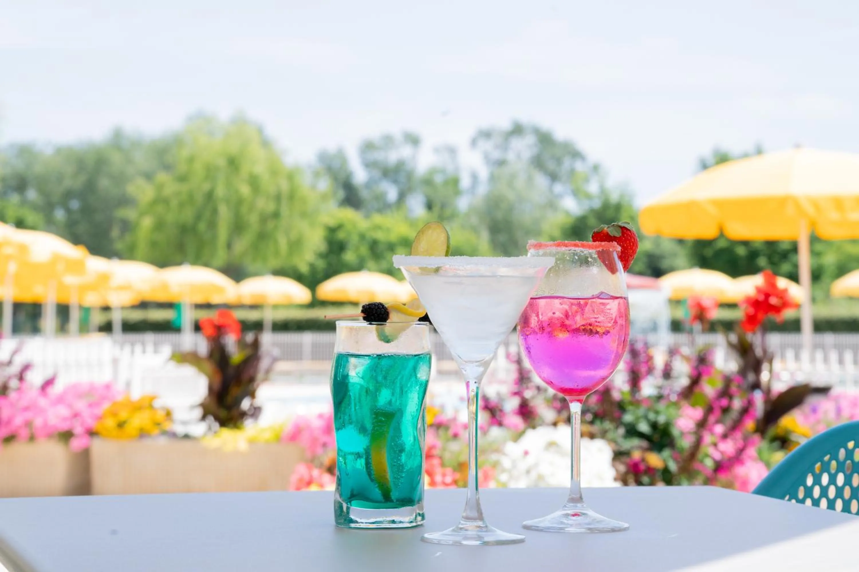 Lounge or bar in Hotel Maregolf