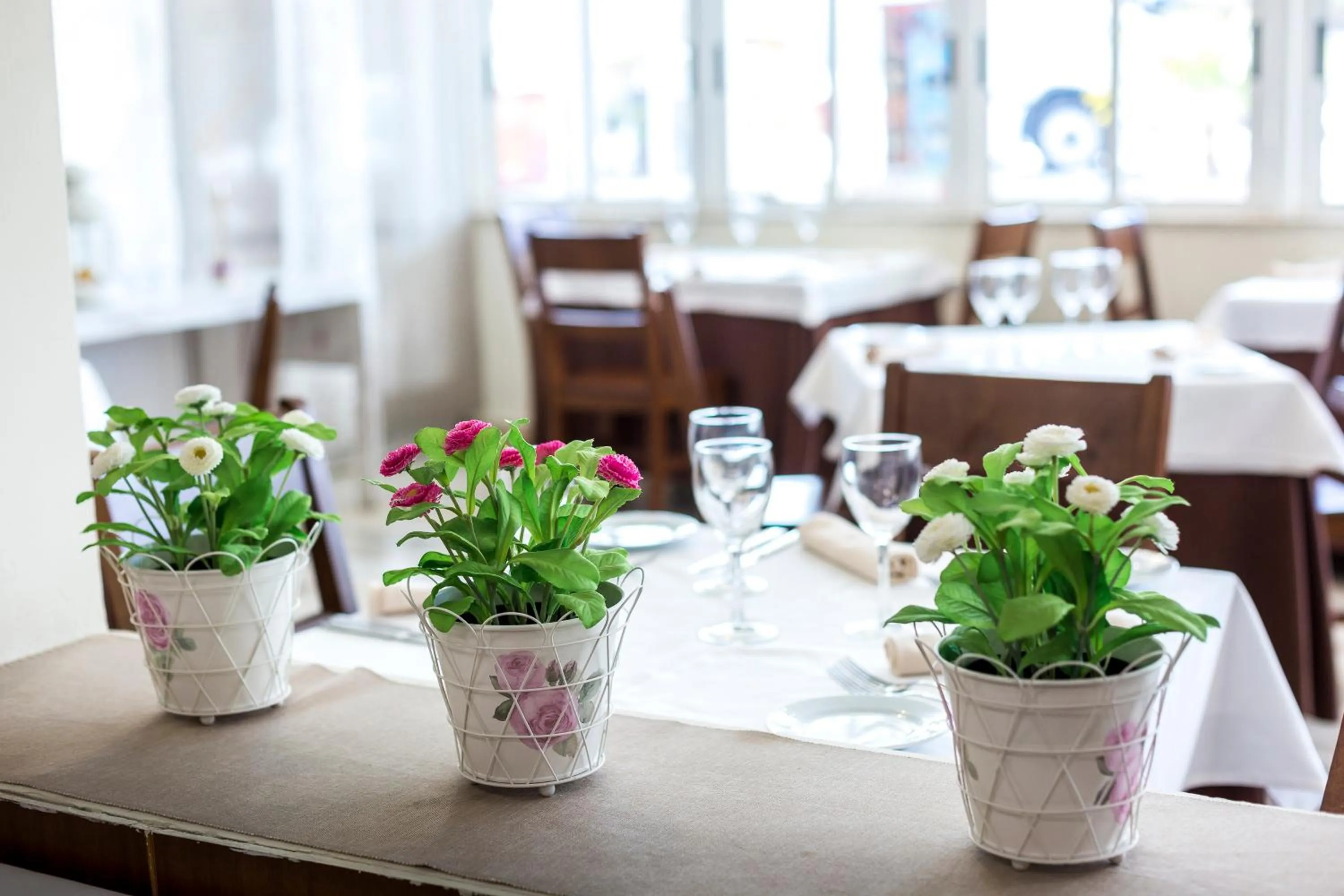 Restaurant/places to eat in Complejo Roma