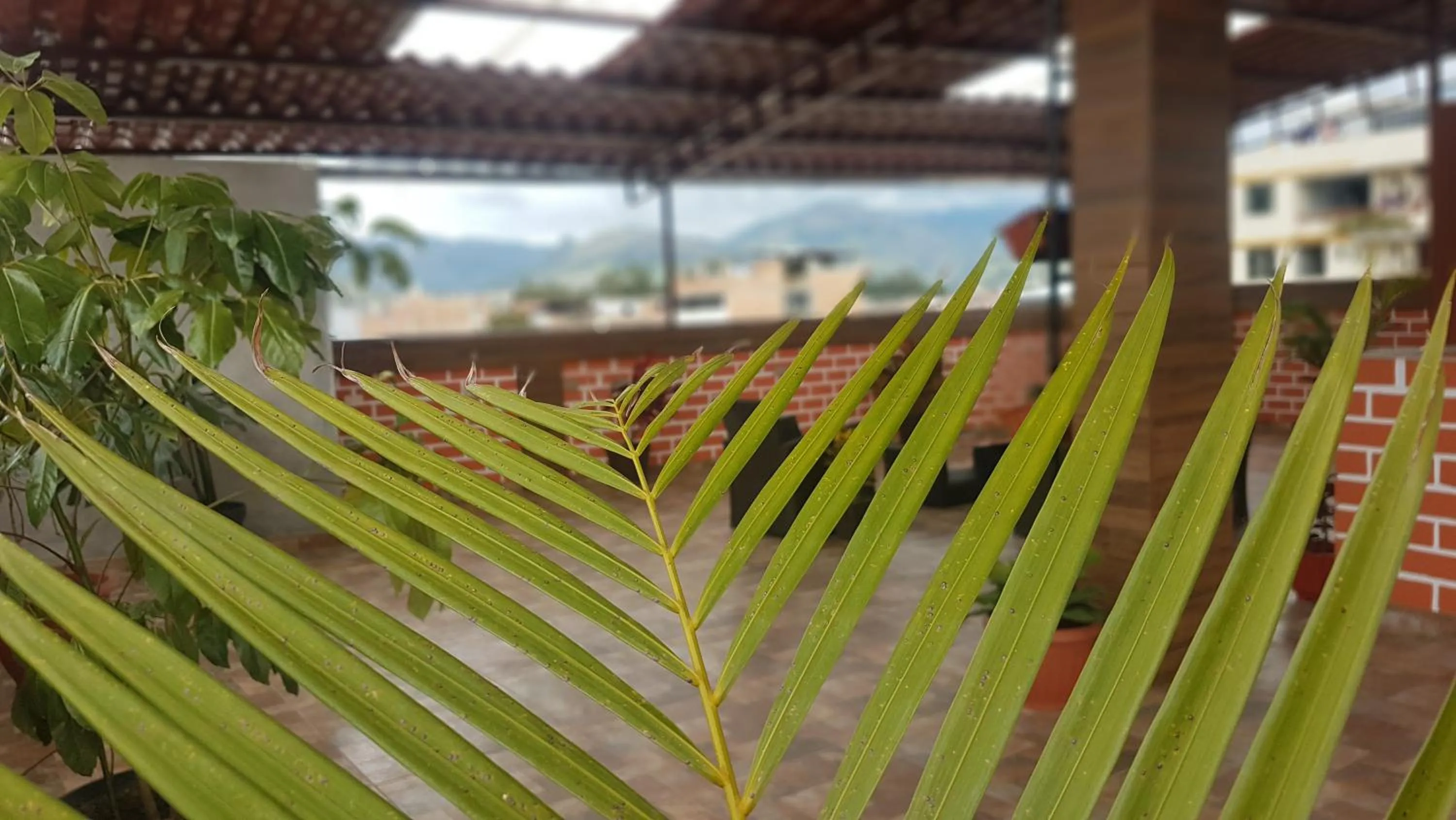Seating area in Hotel Los Nogales