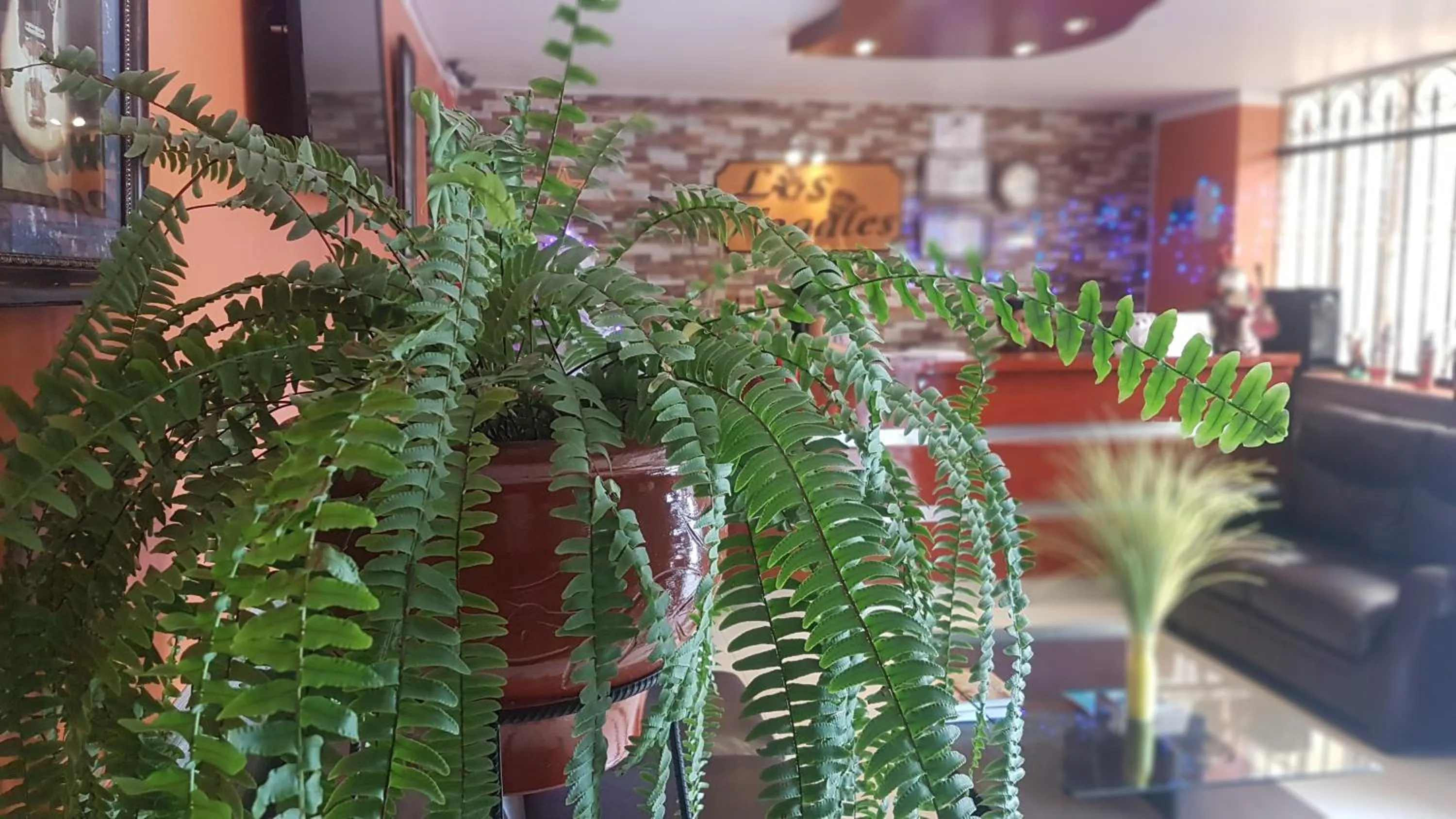 Living room in Hotel Los Nogales