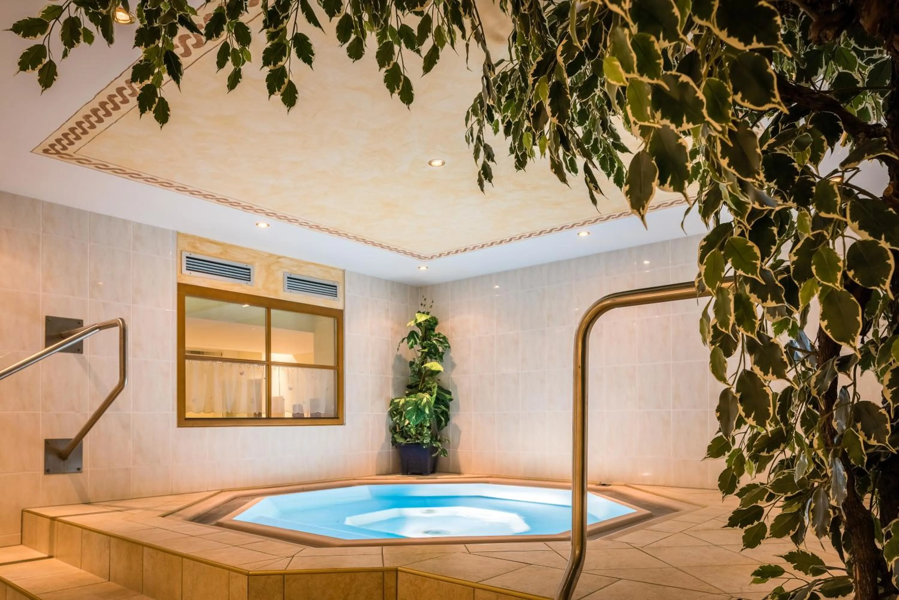 Hot Tub in Hotel Forer
