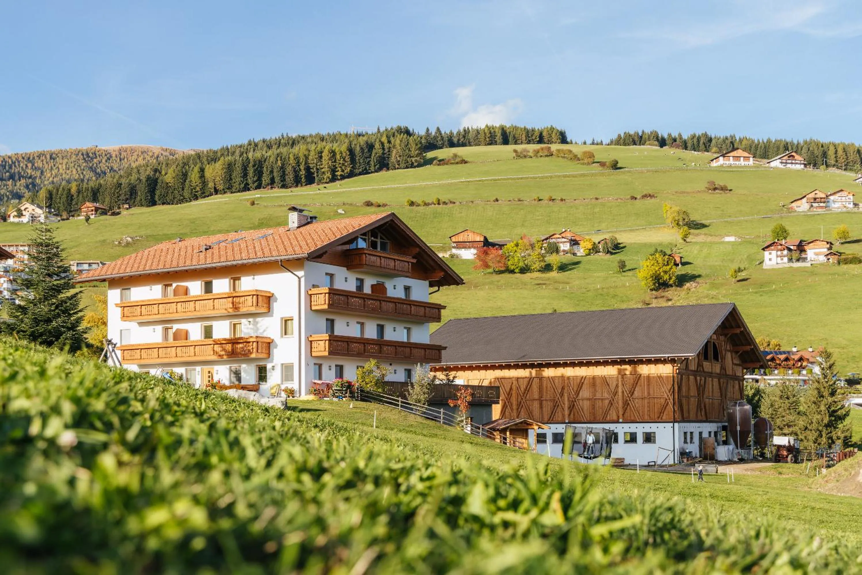 Property building in Residence Speckerhof