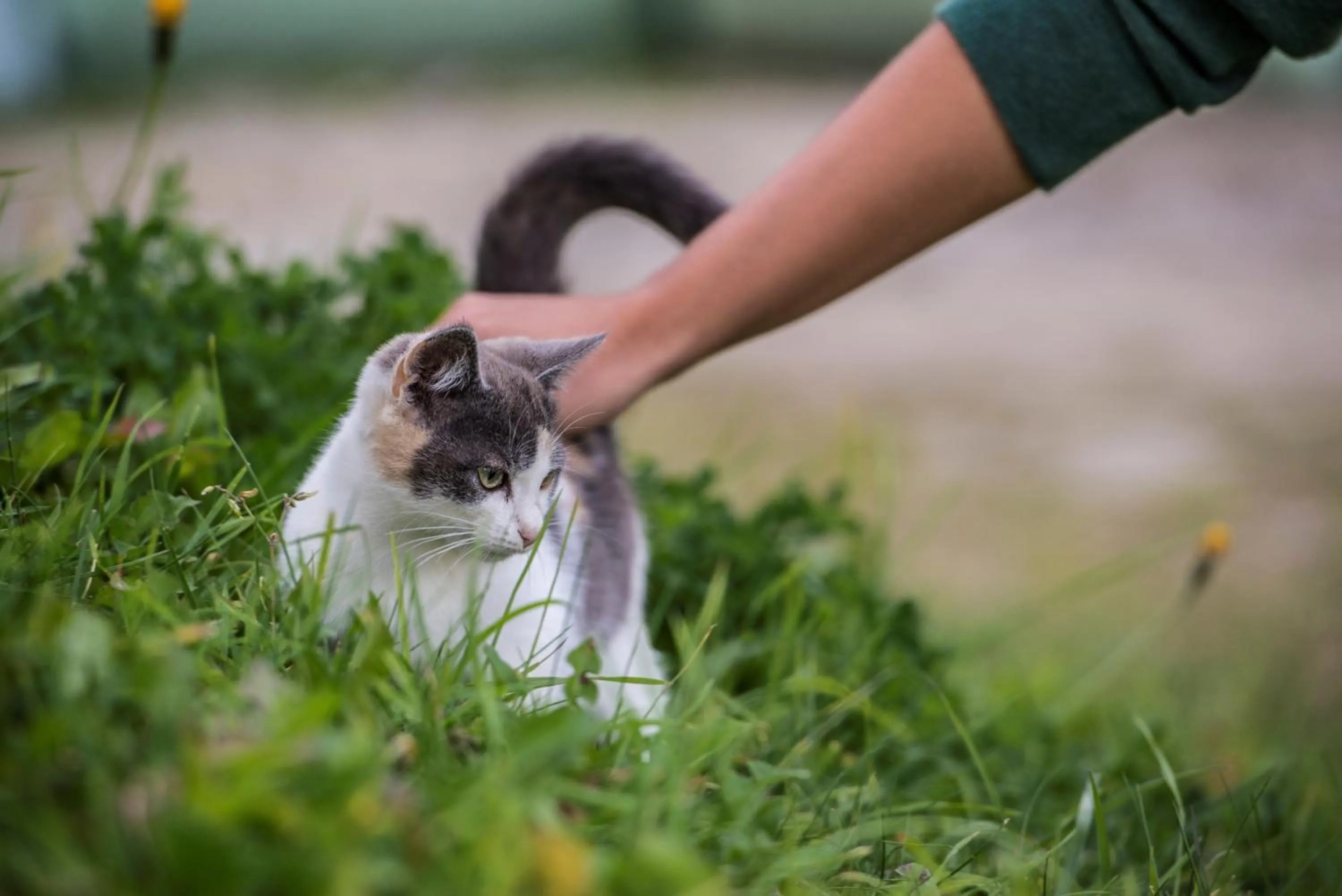 Children play ground in Residence Speckerhof