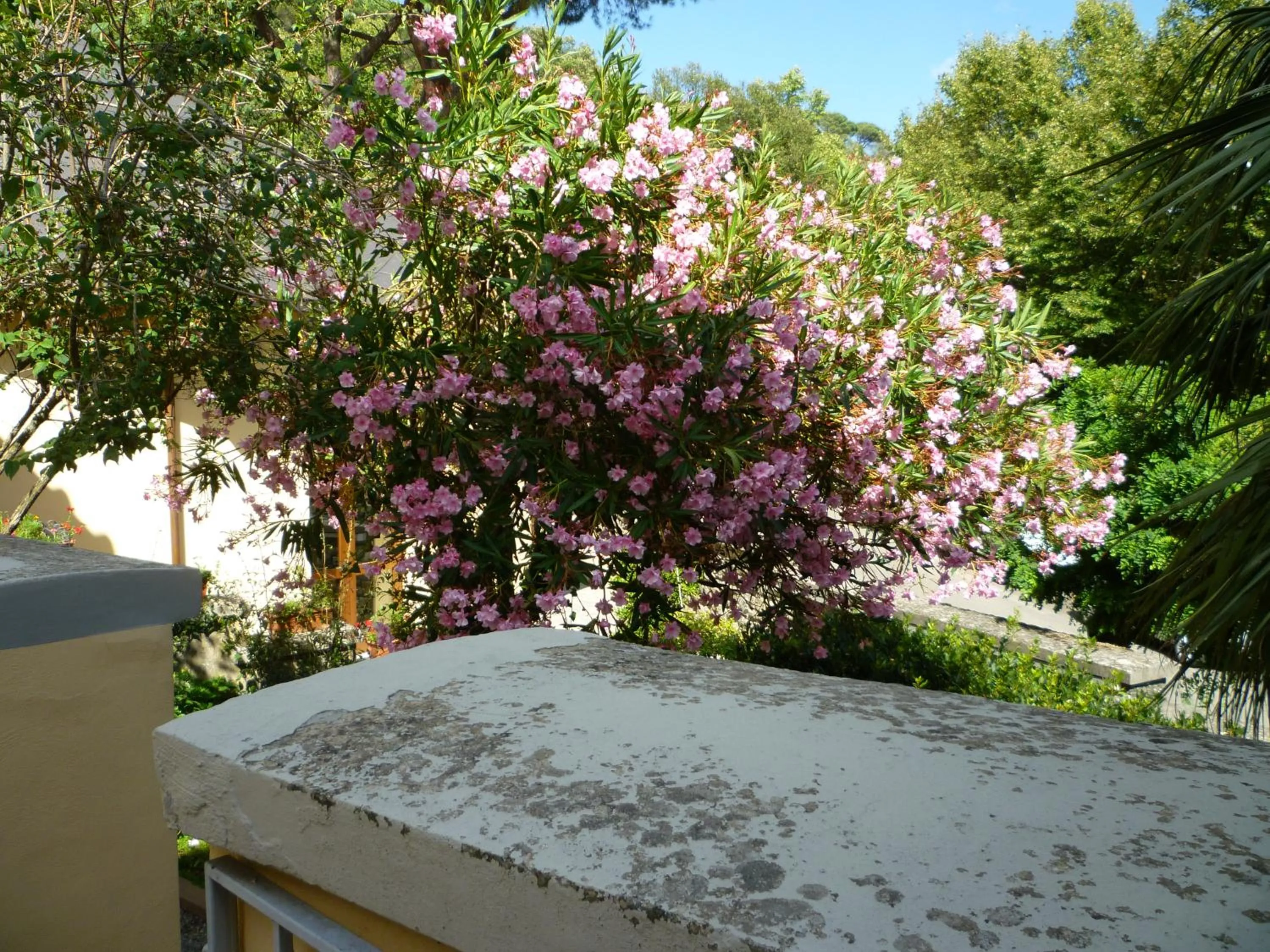 Patio in Villa Santa Margherita - Albergo