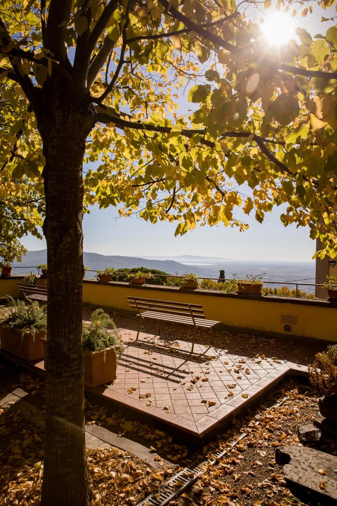 Garden in Villa Santa Margherita - Albergo