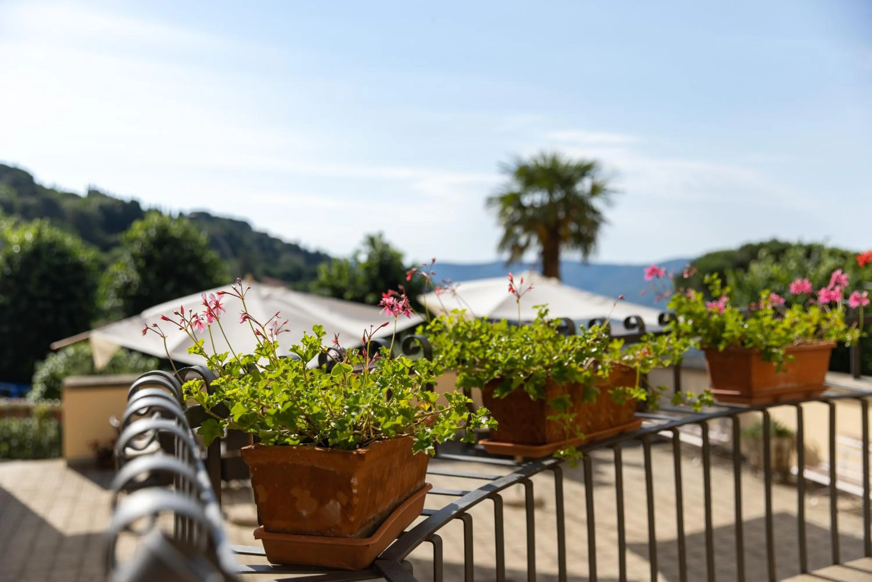View (from property/room) in Villa Santa Margherita - Albergo