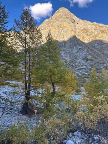 Day in Hotel Vauban Briançon Serre Chevalier