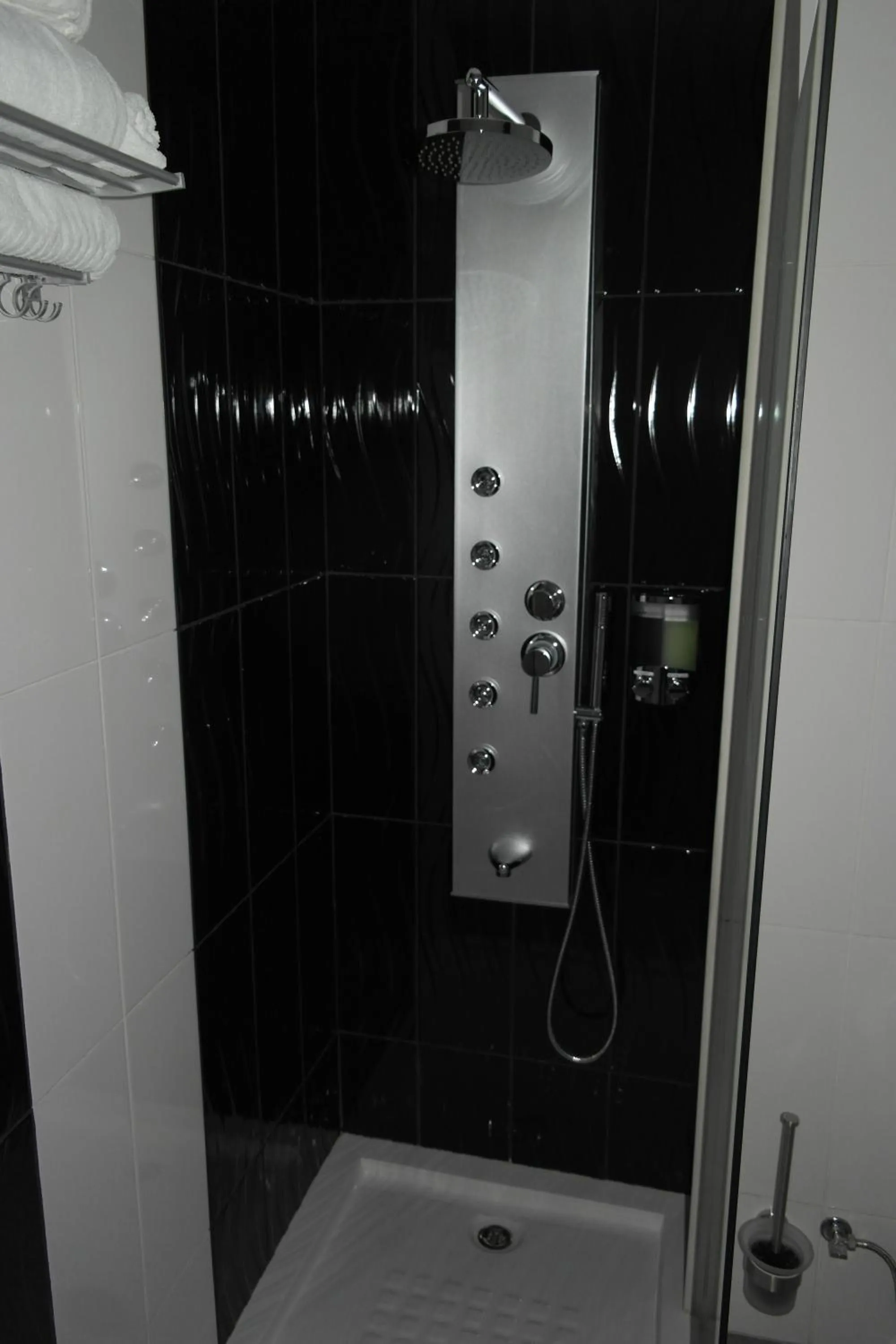 Shower in Aparthotel Palace