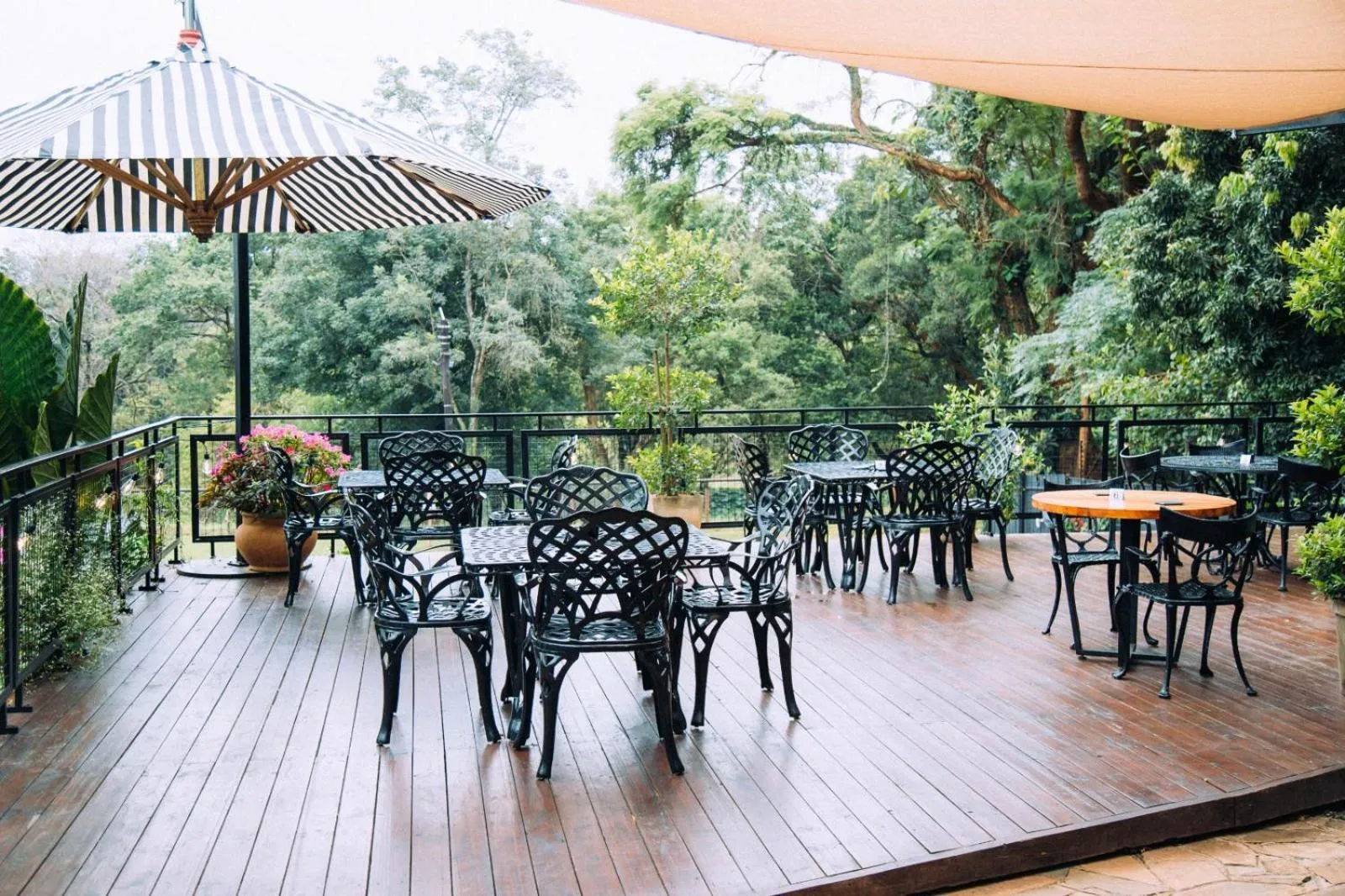 Restaurant/places to eat in The Bohemian Guesthouse