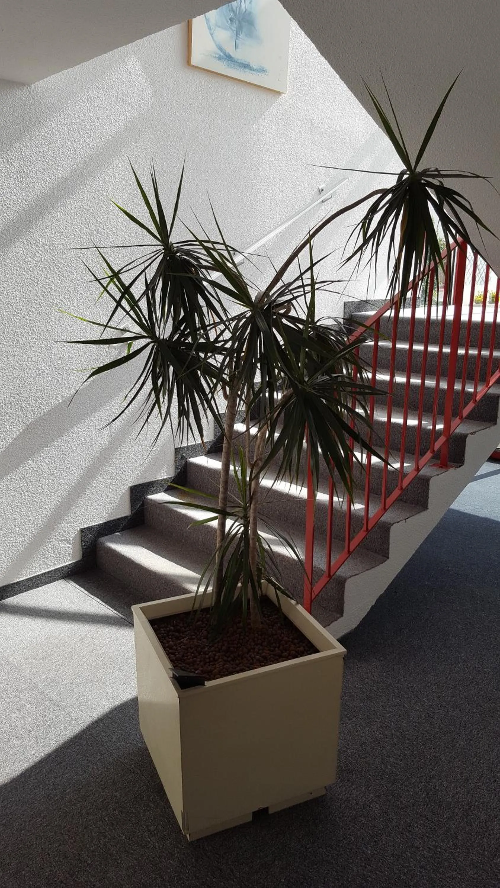 Fasthotel Tarbes Séméac - Un hôtel FH Confort