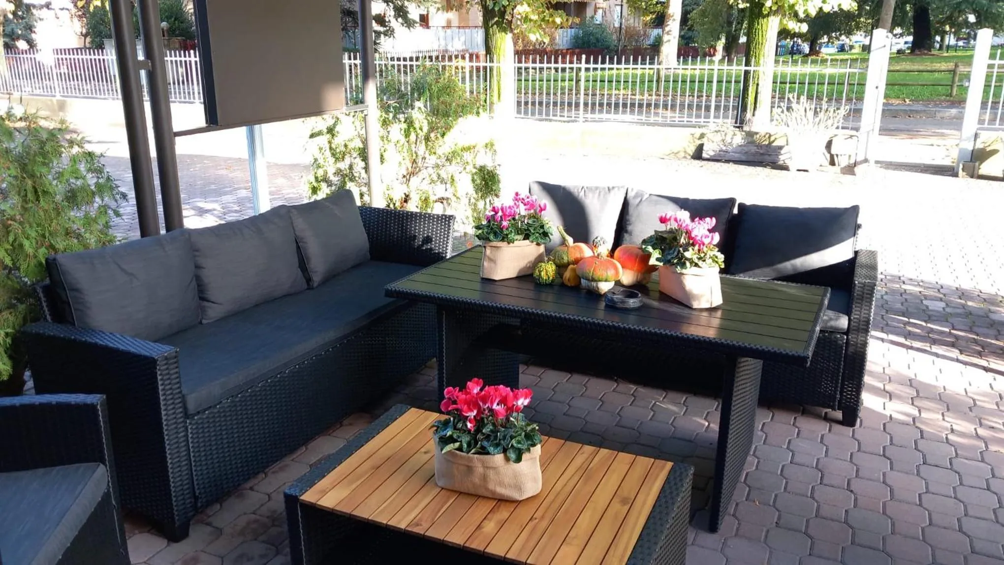 Restaurant/places to eat in Hotel Davide