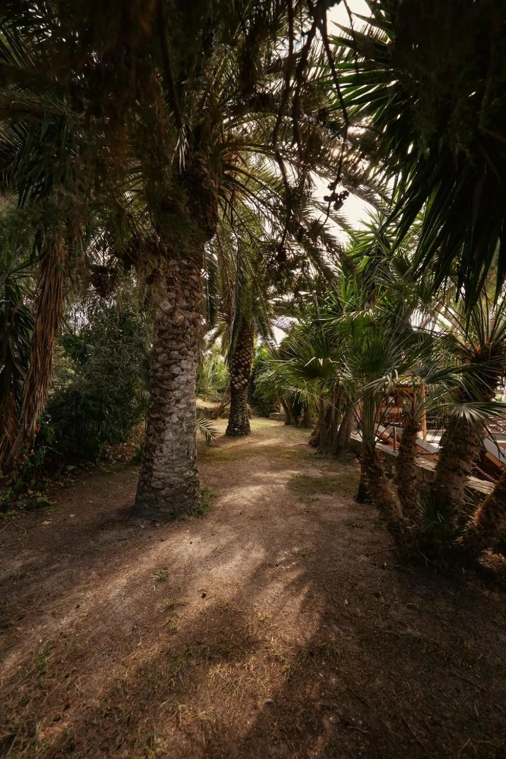 Natural landscape in Hotel Pilalidis