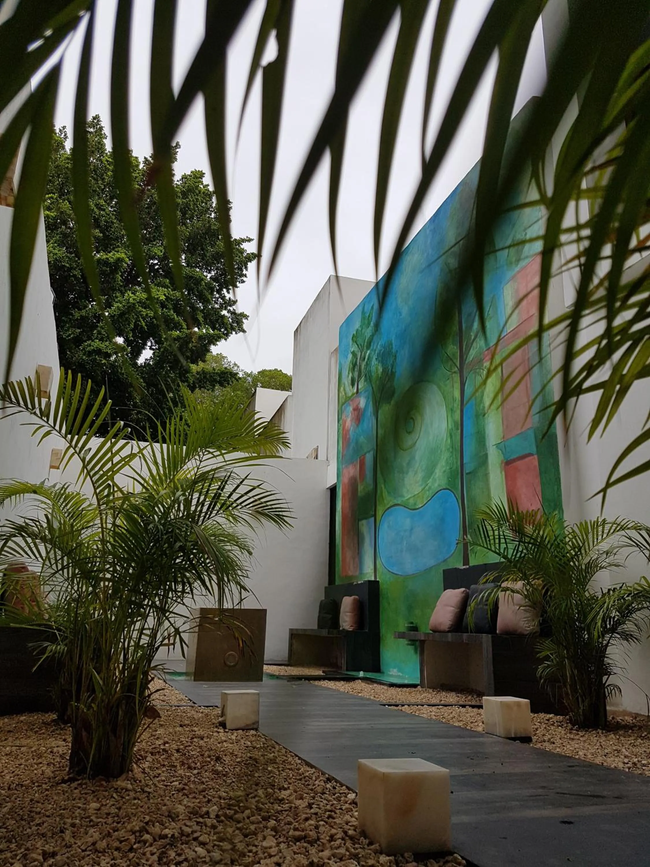 Patio in Hotel Holly