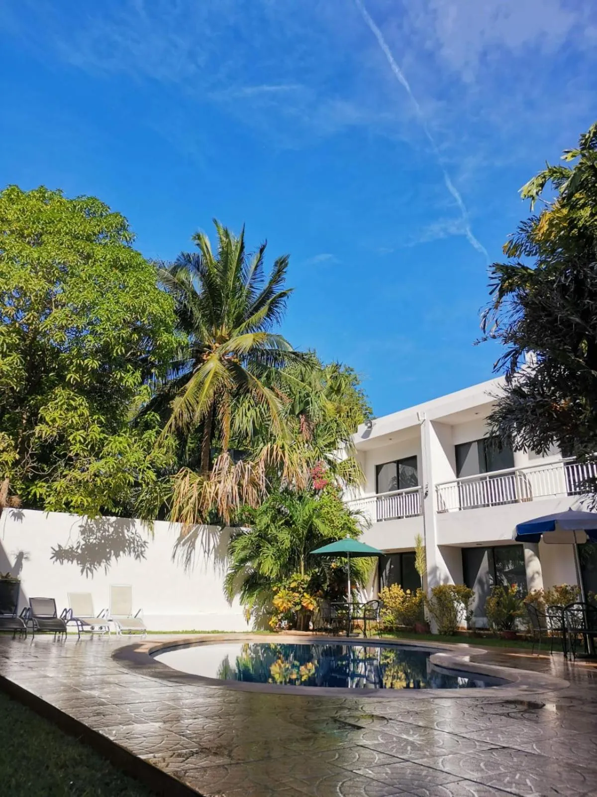 Swimming pool in Hotel Holly