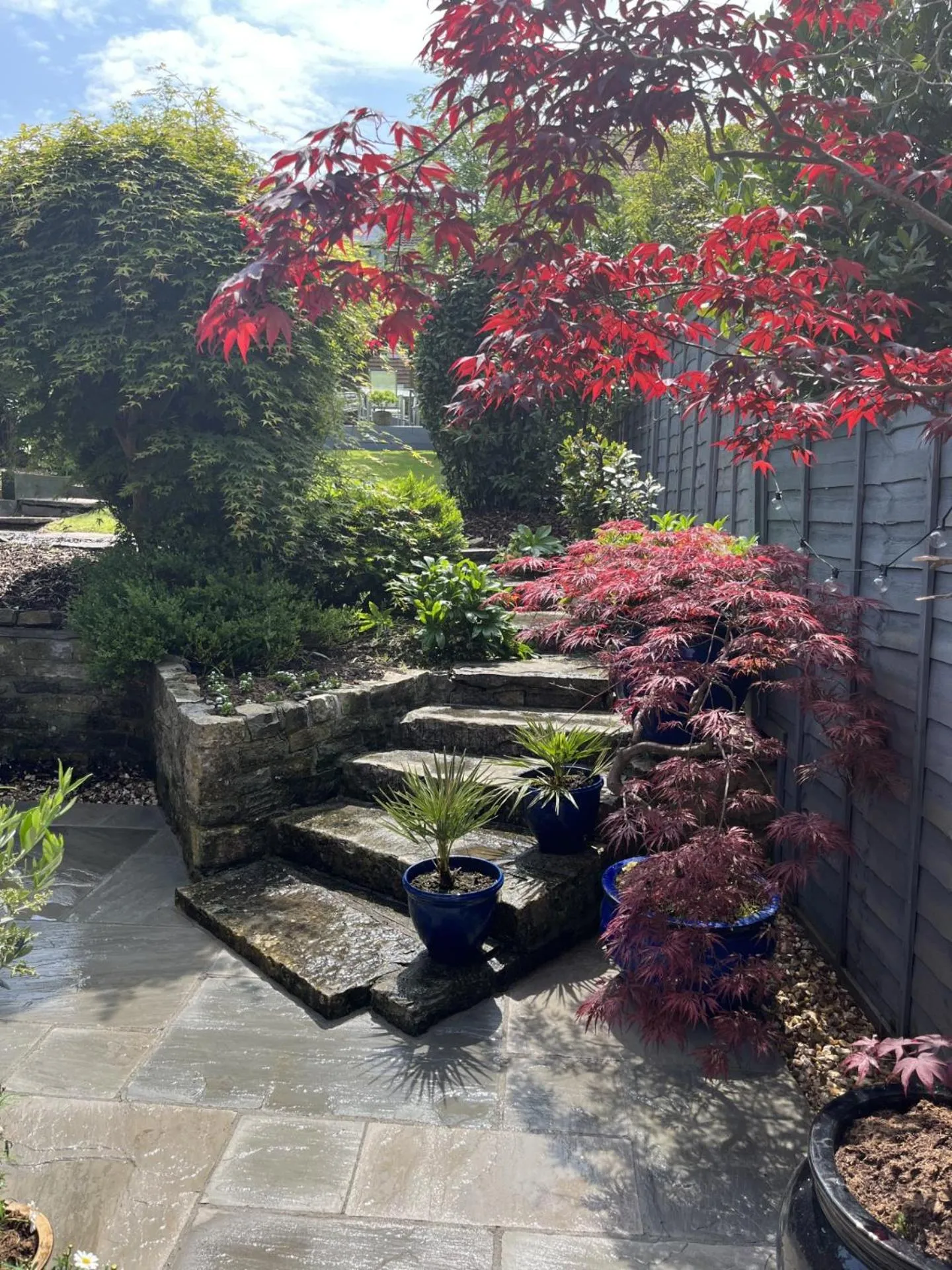 Garden view in The Glastonbury Townhouse B&B