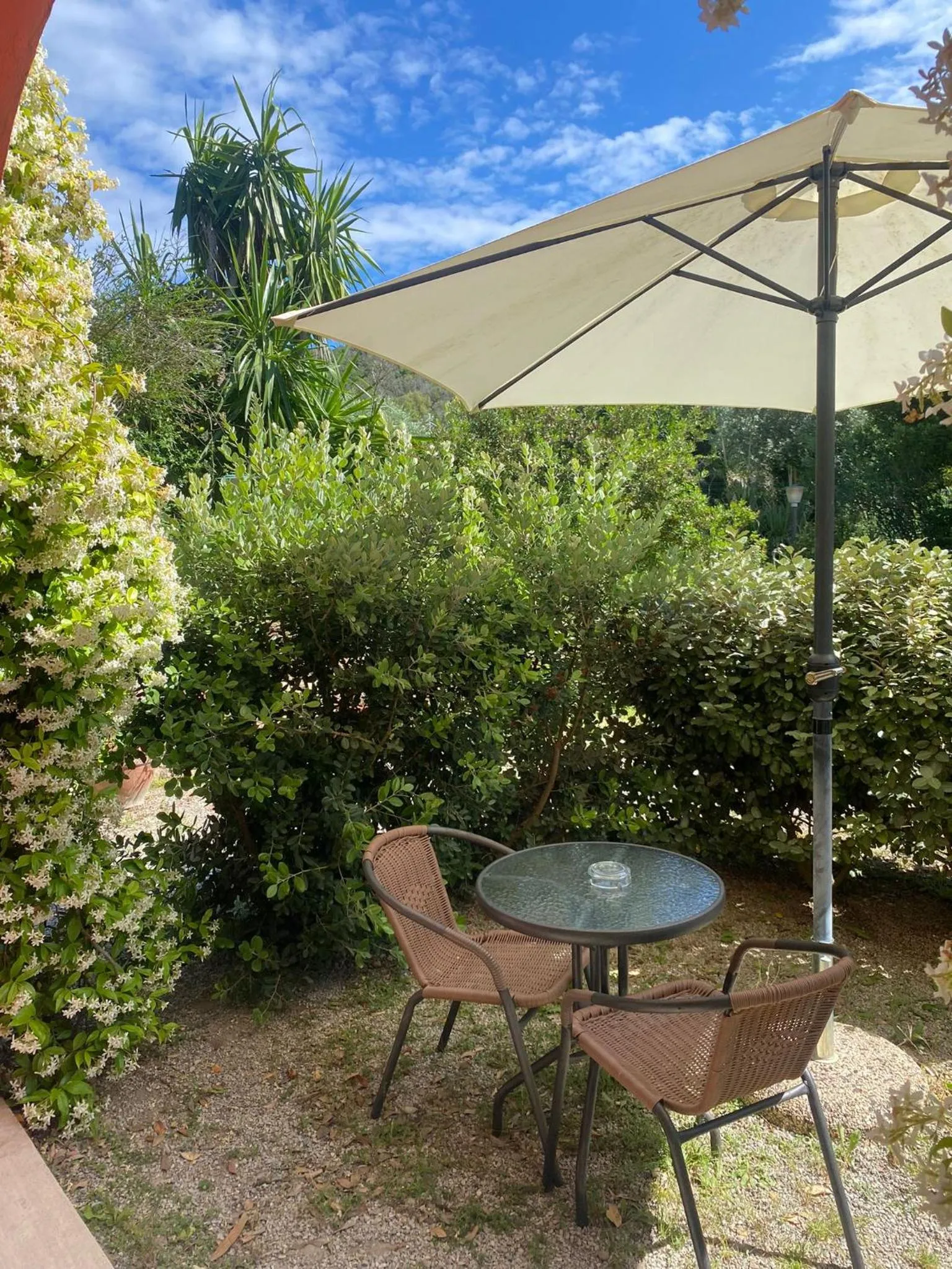 Garden view in Villa Gaia