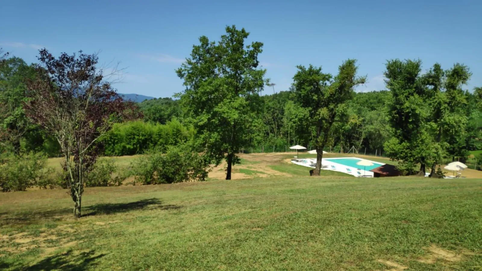 Swimming pool in B&B CASALISA