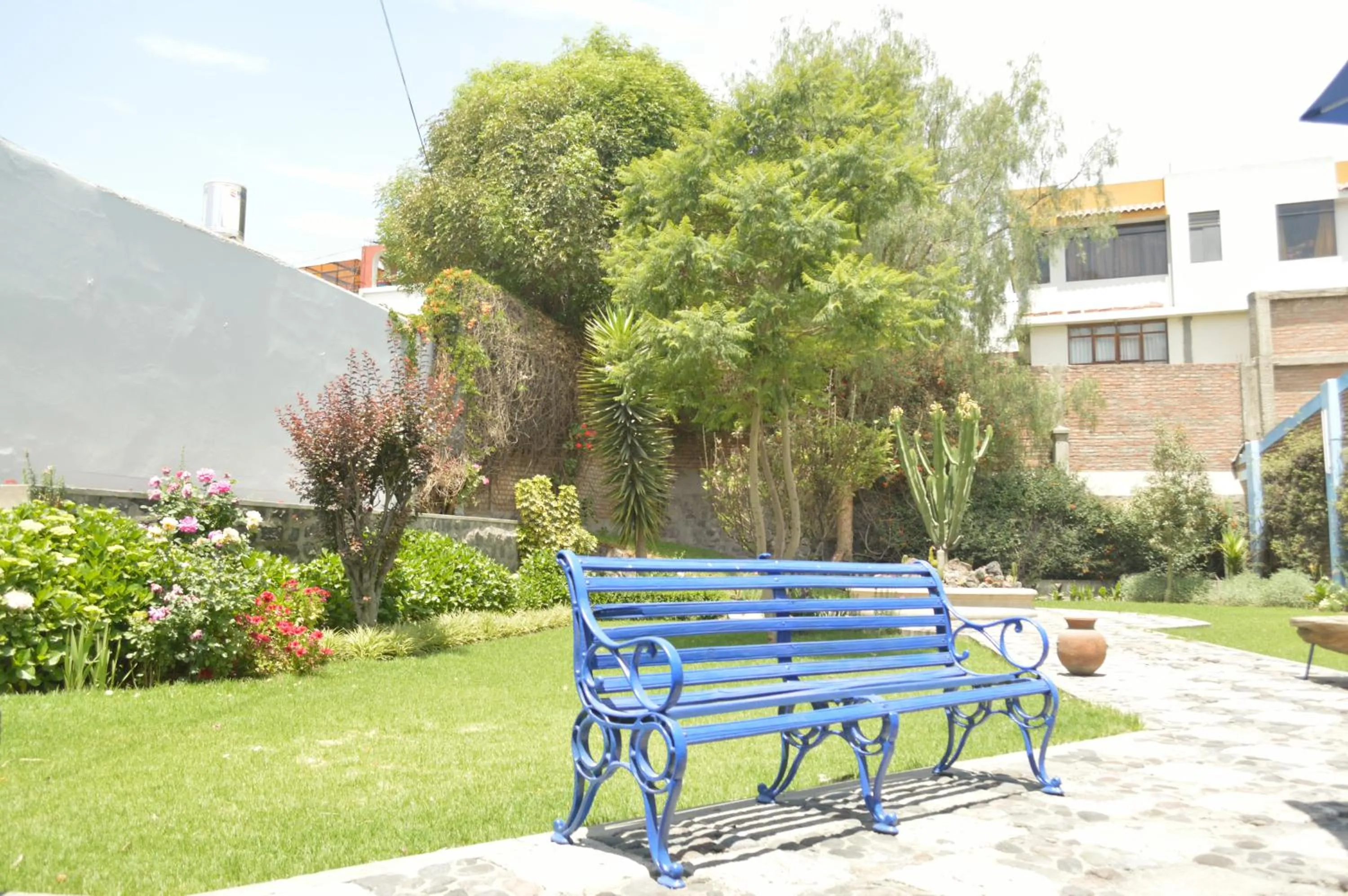 Garden in Las Mercedes