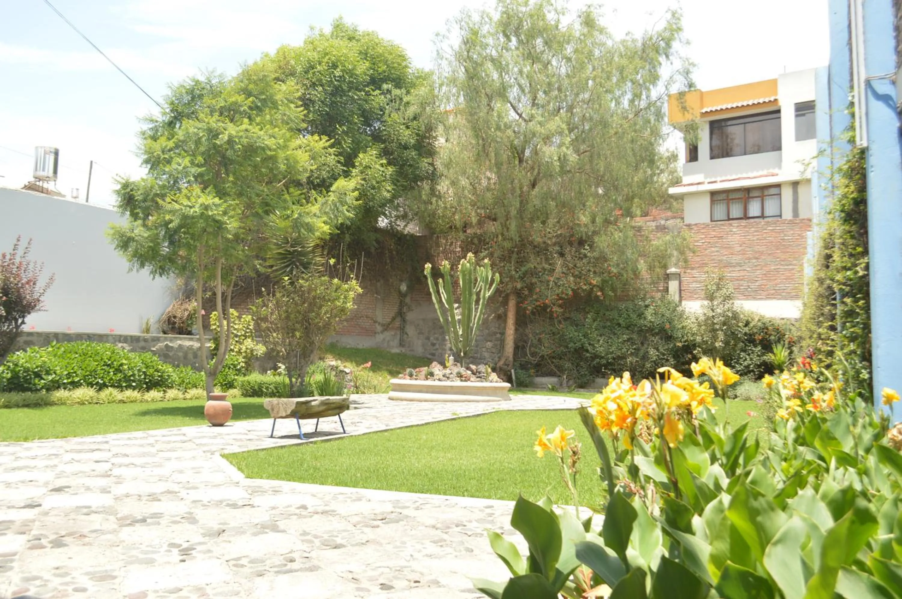 Garden in Las Mercedes