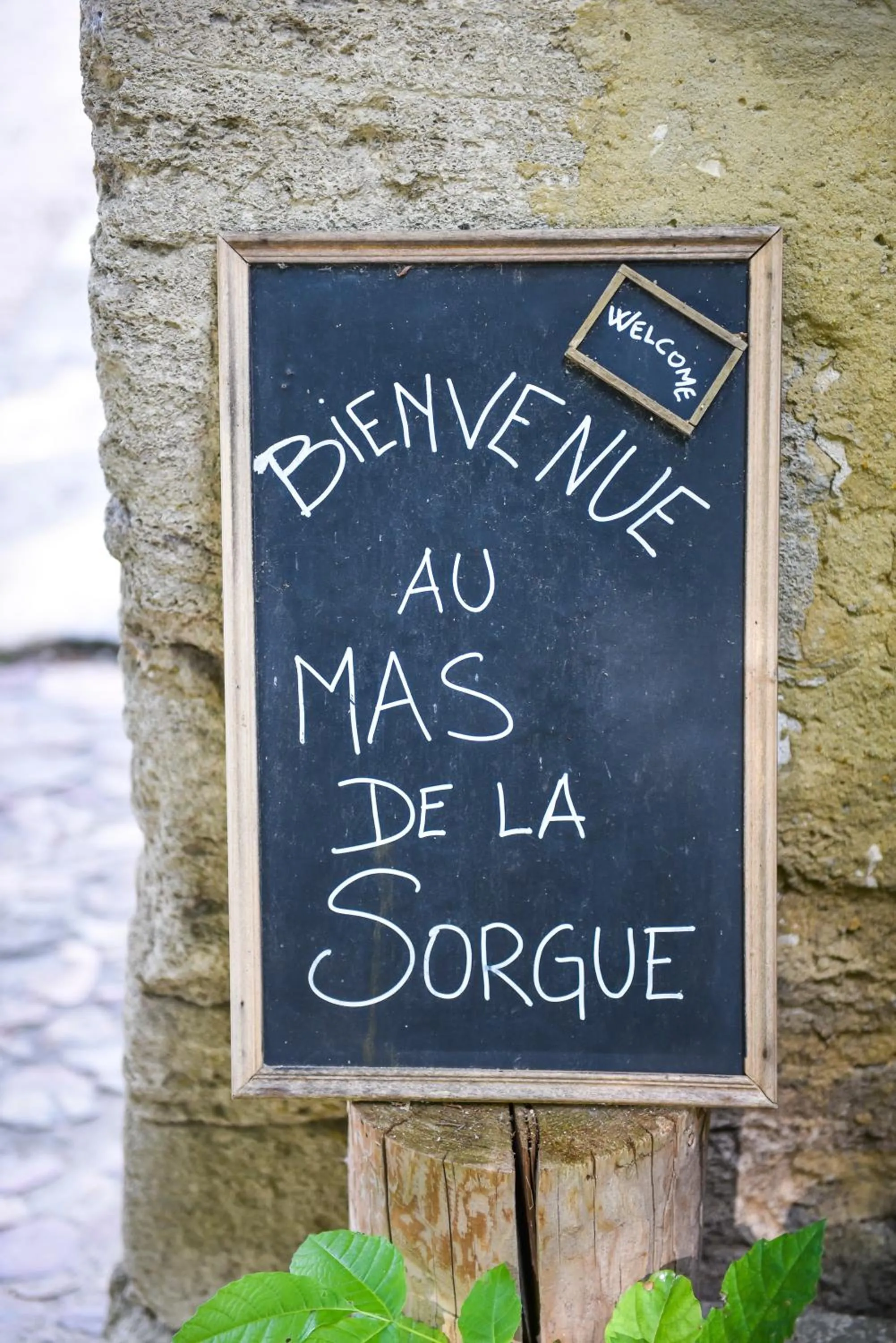 Facade/entrance in Le Mas de la Sorgue