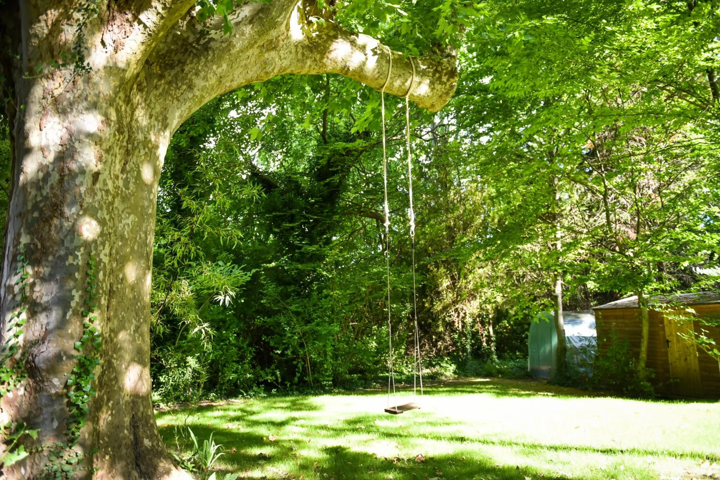 Garden in Le Mas de la Sorgue