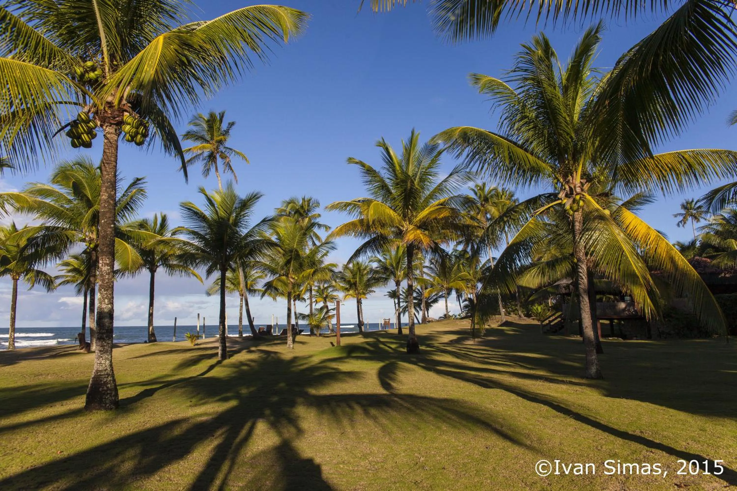 Garden view in Pousada Lagoa do Cassange