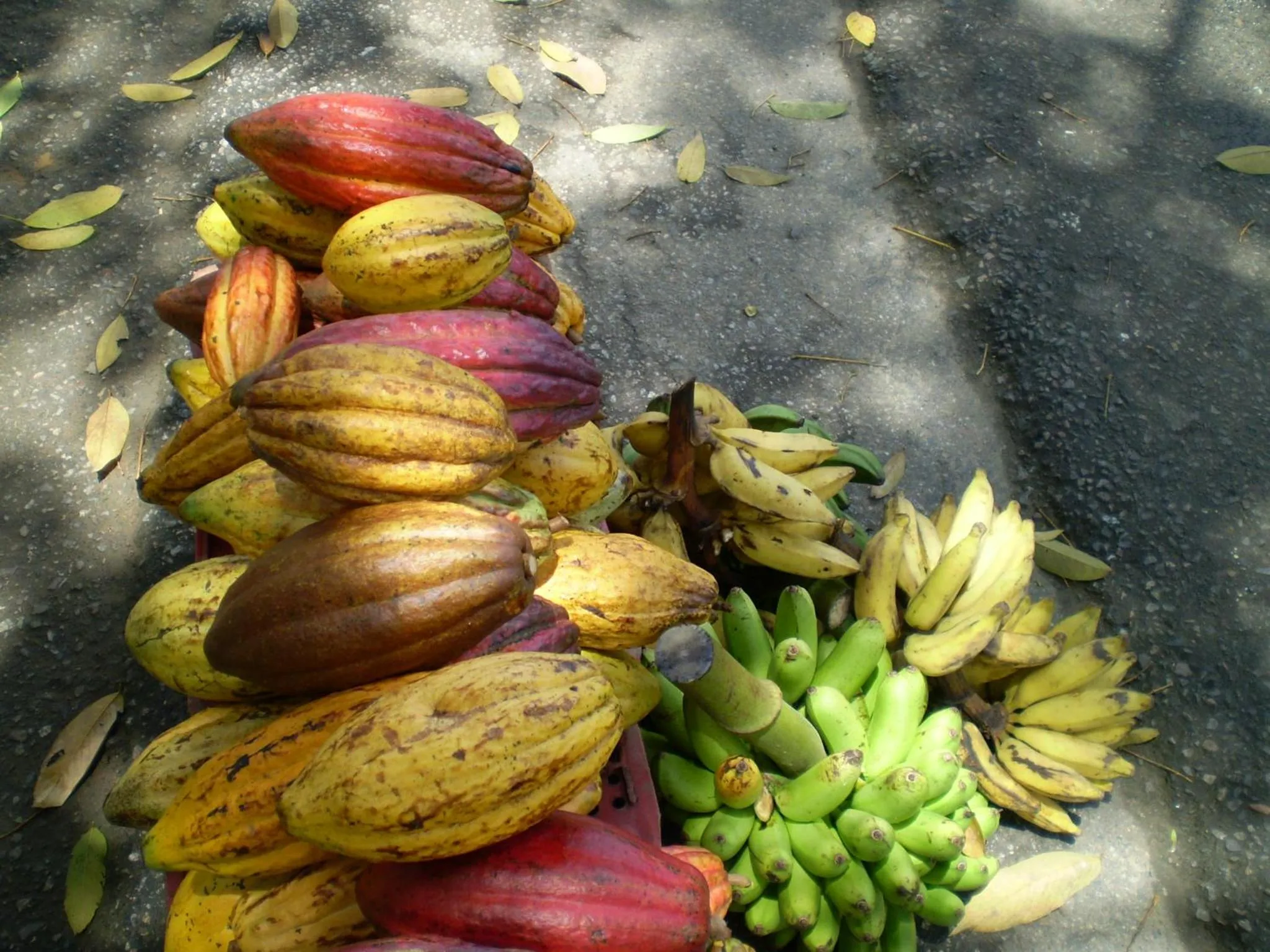 Pousada Lagoa do Cassange