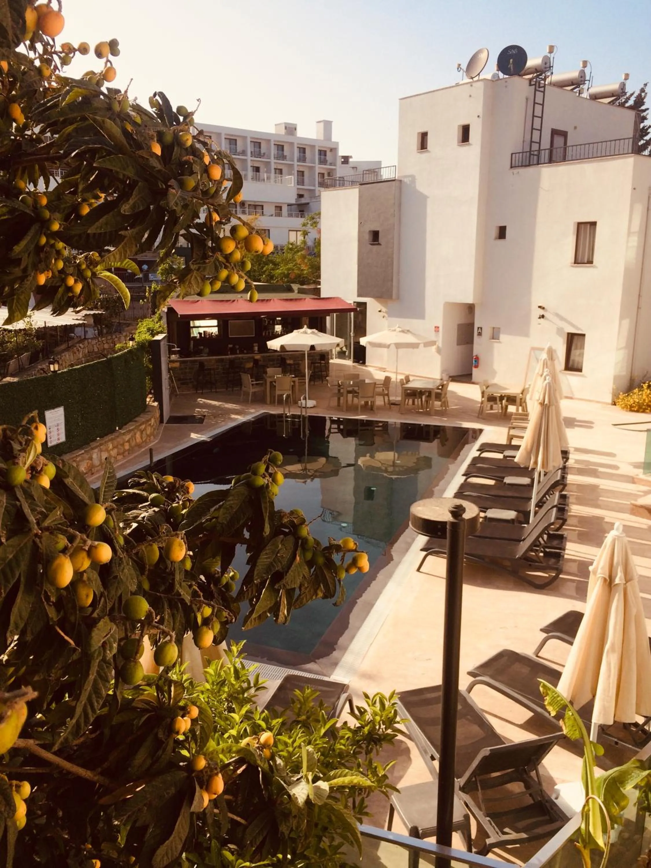 Swimming pool in Orya Aparts