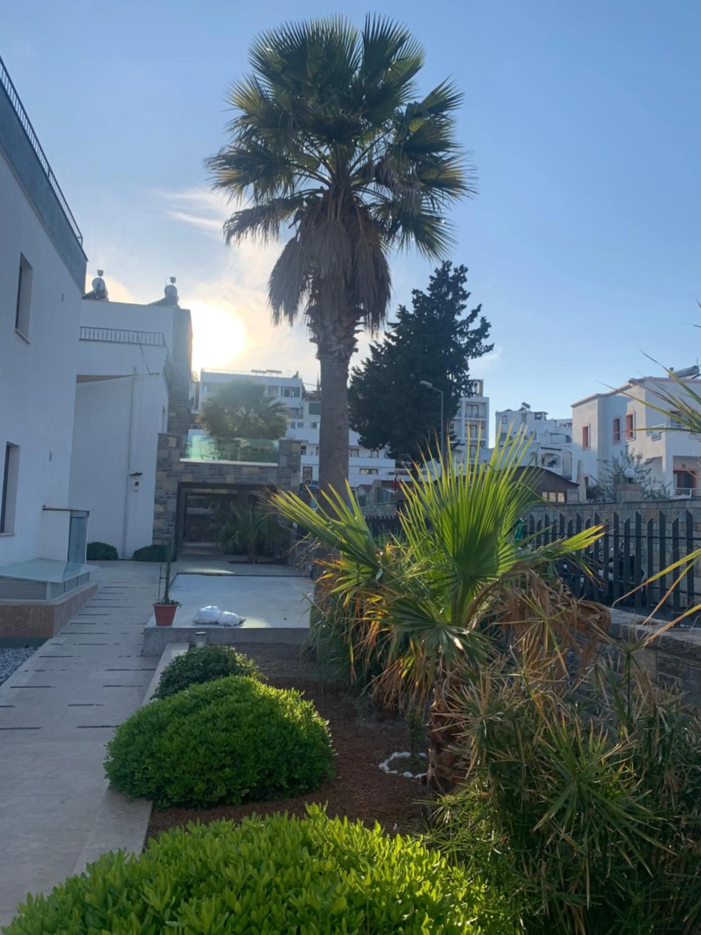 Garden in Orya Aparts