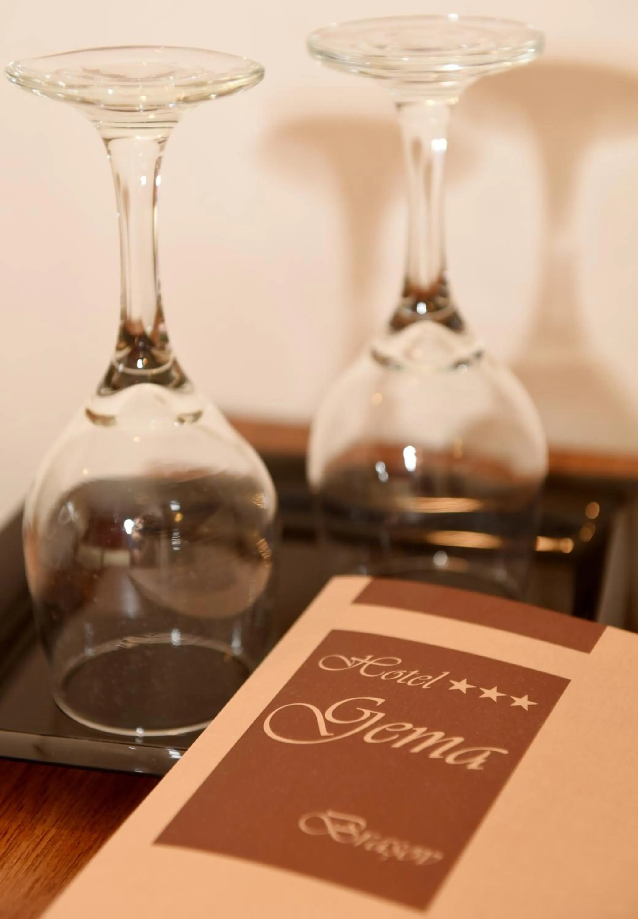 Logo/Certificate/Sign in Hotel Gema