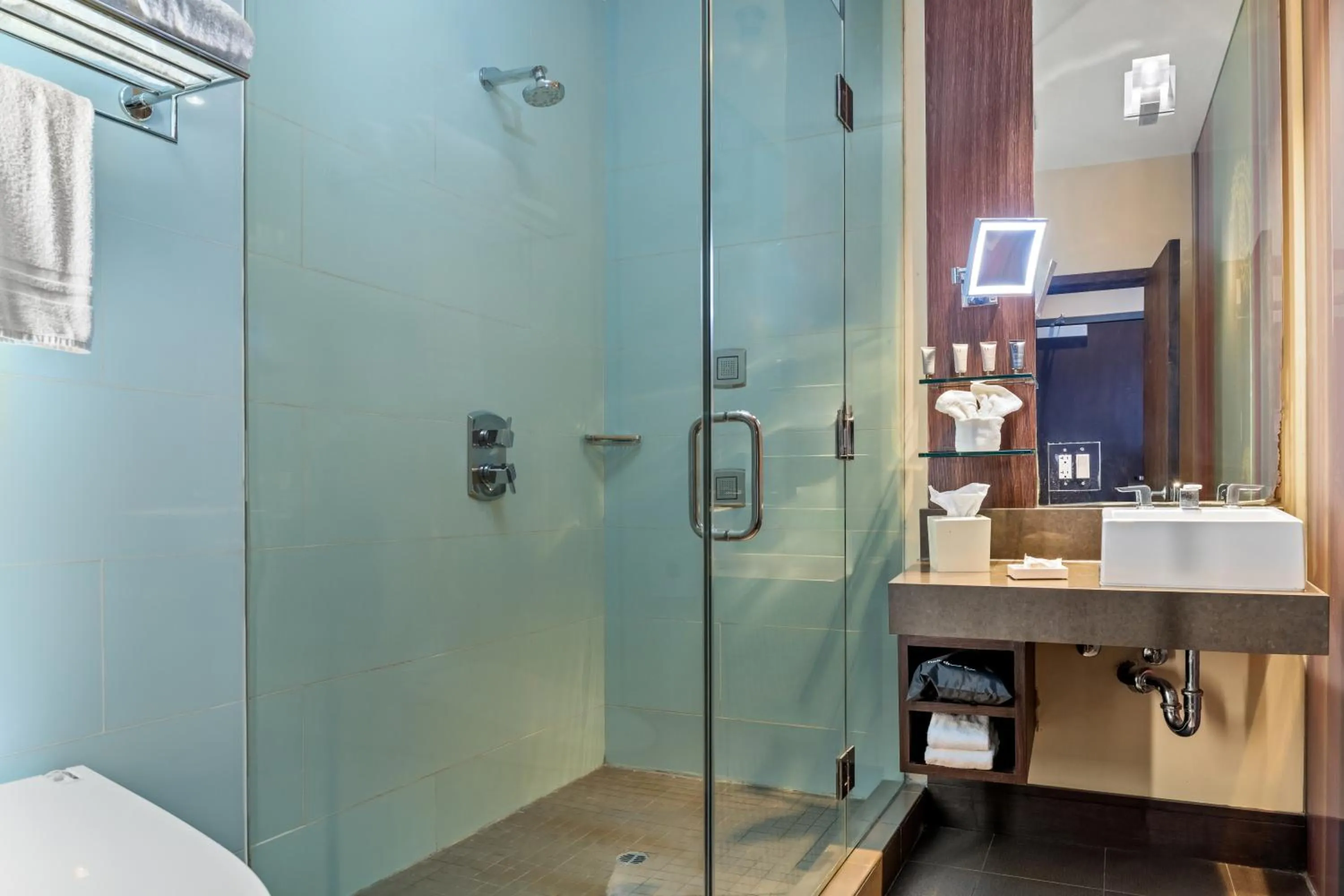 Shower in SIRTAJ – Beverly Hills
