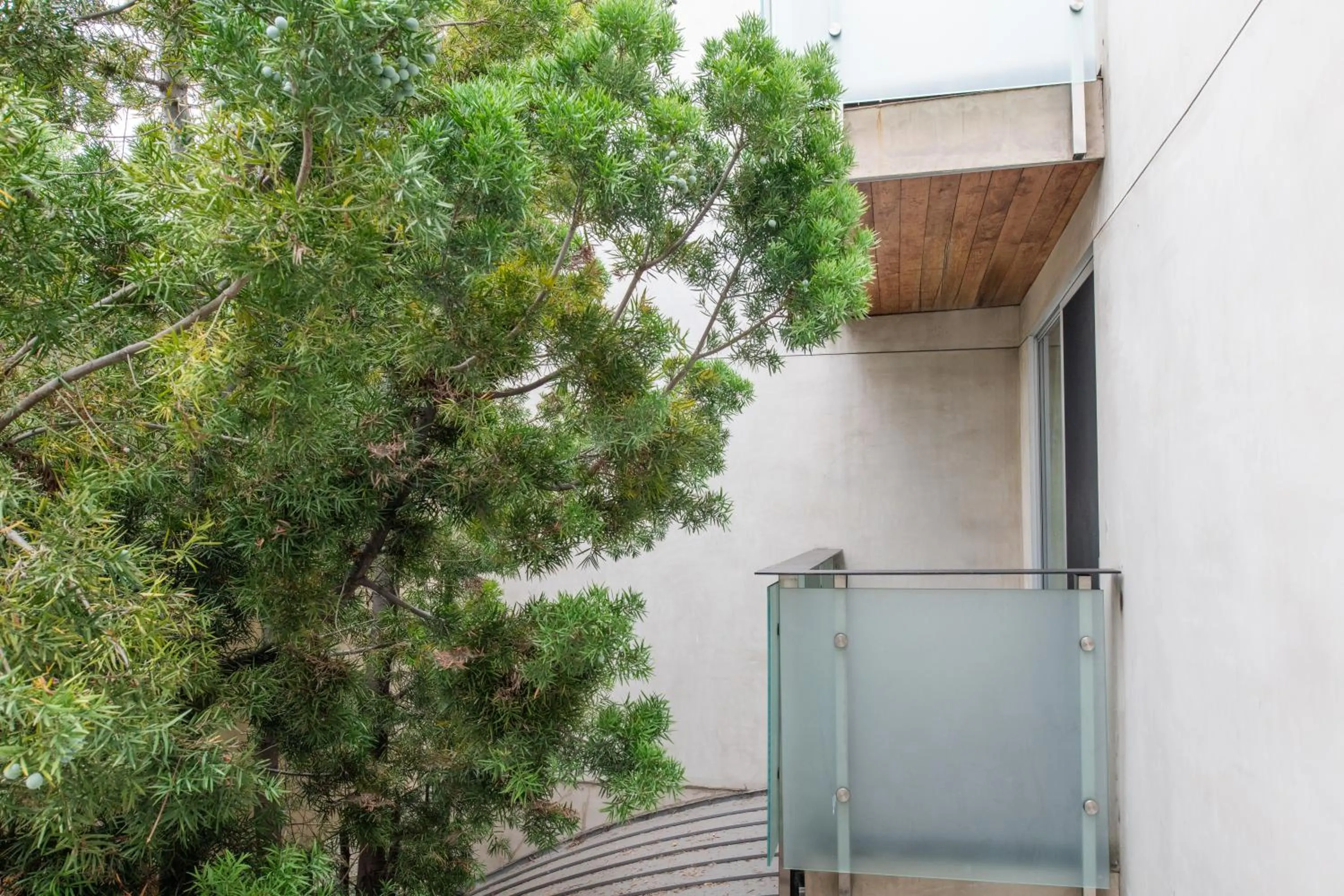 Day in SIRTAJ – Beverly Hills