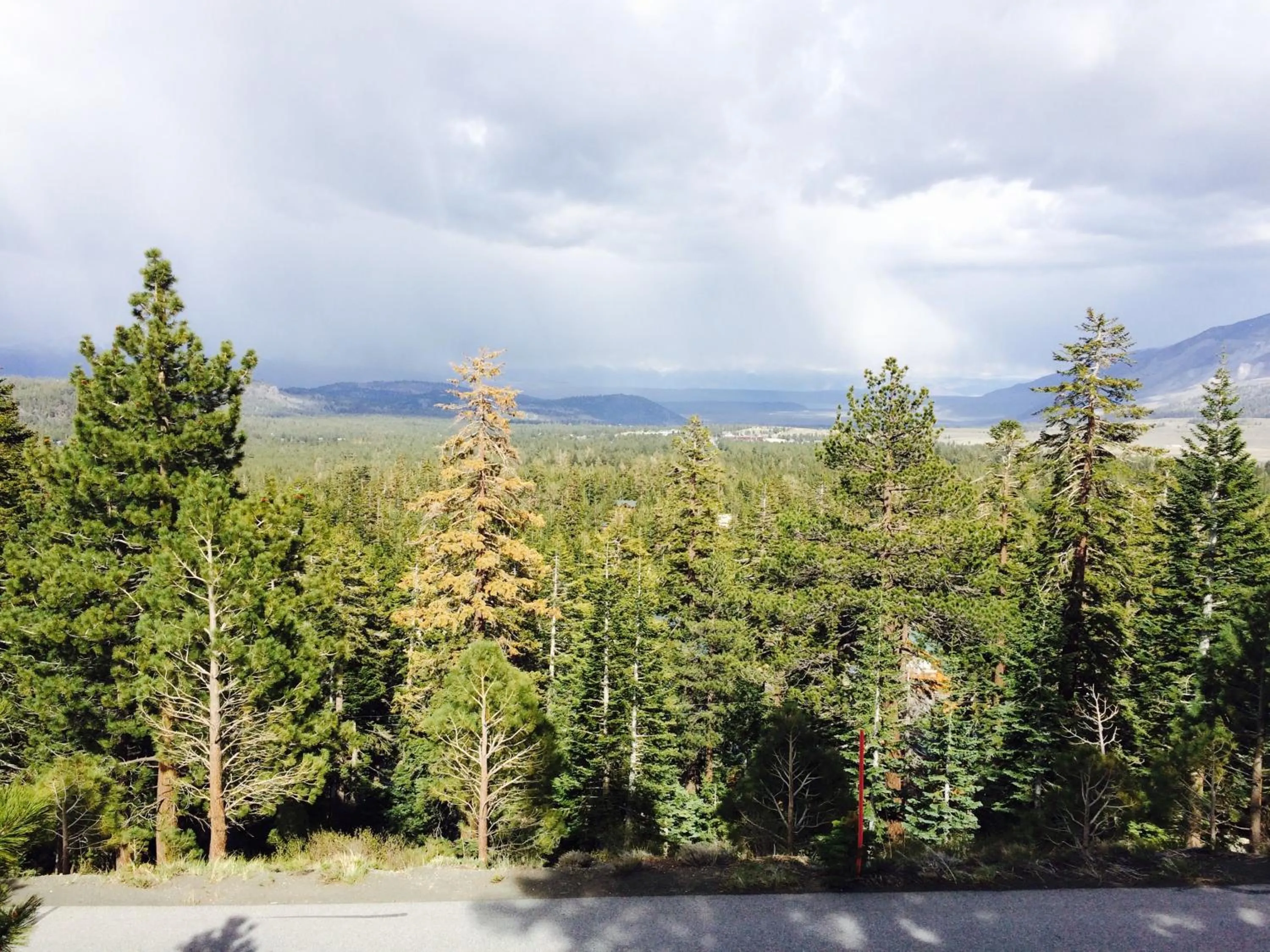 Natural landscape in Mammoth Point by 101 Great Escapes