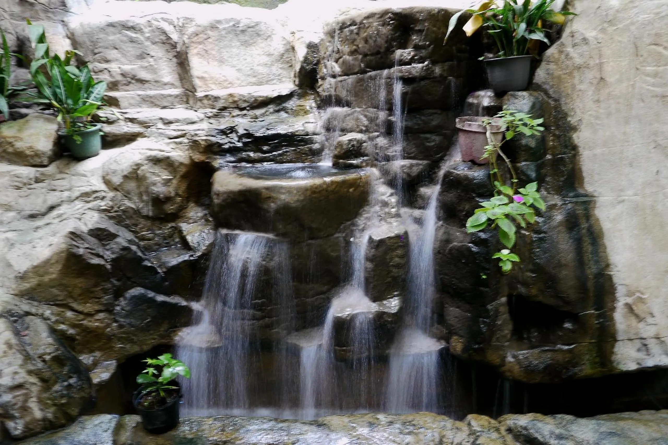 Garden in Shan-Yue Hotspring Hotel
