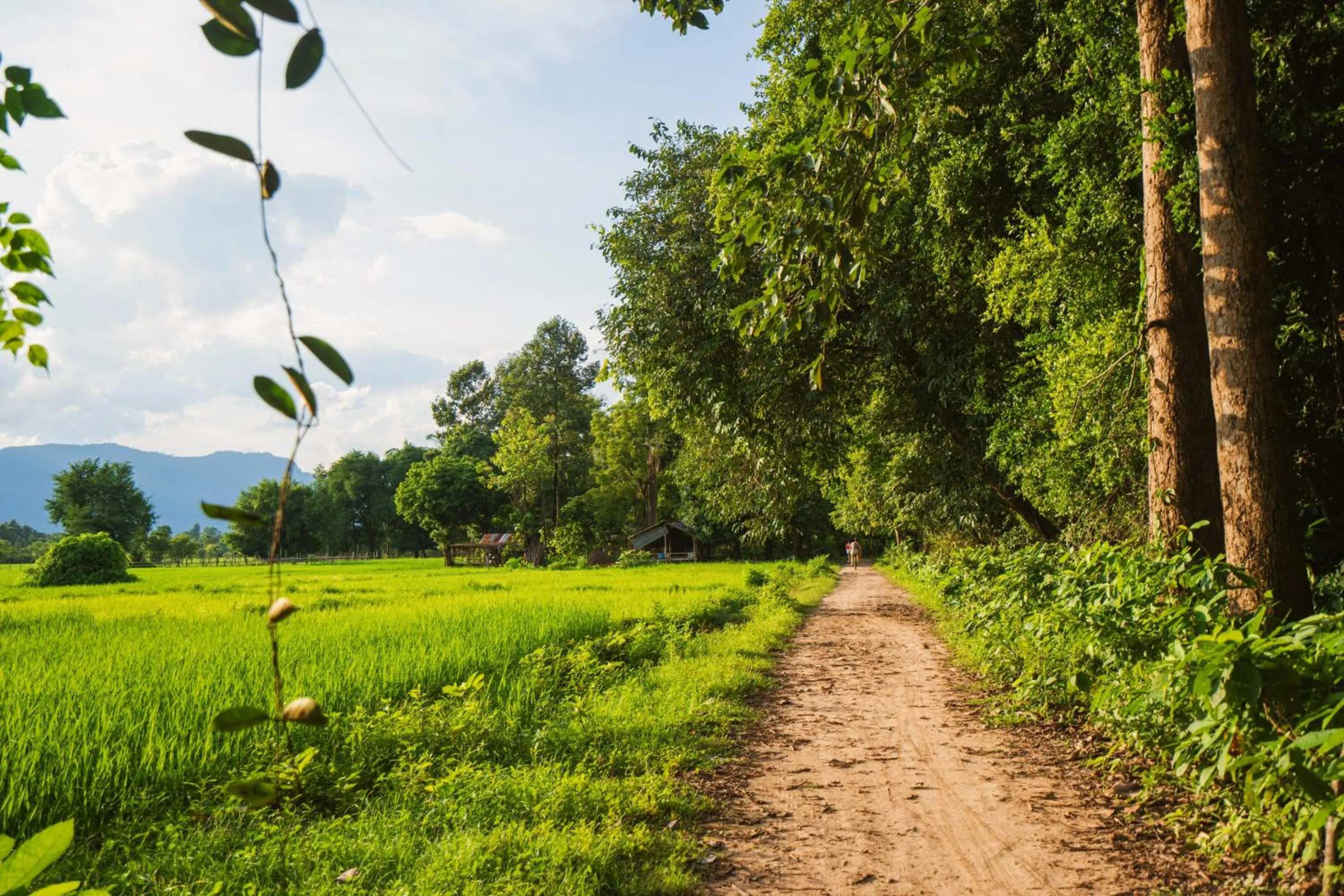 Cycling in La Folie Lodge