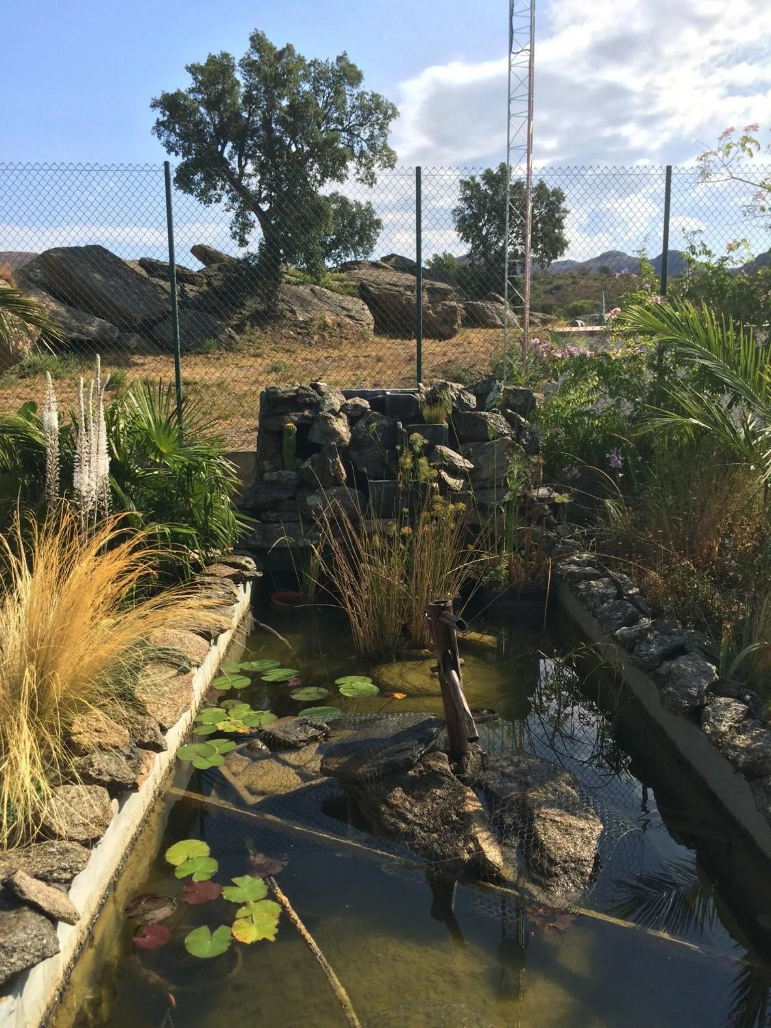 Garden in Casa de l’Albada
