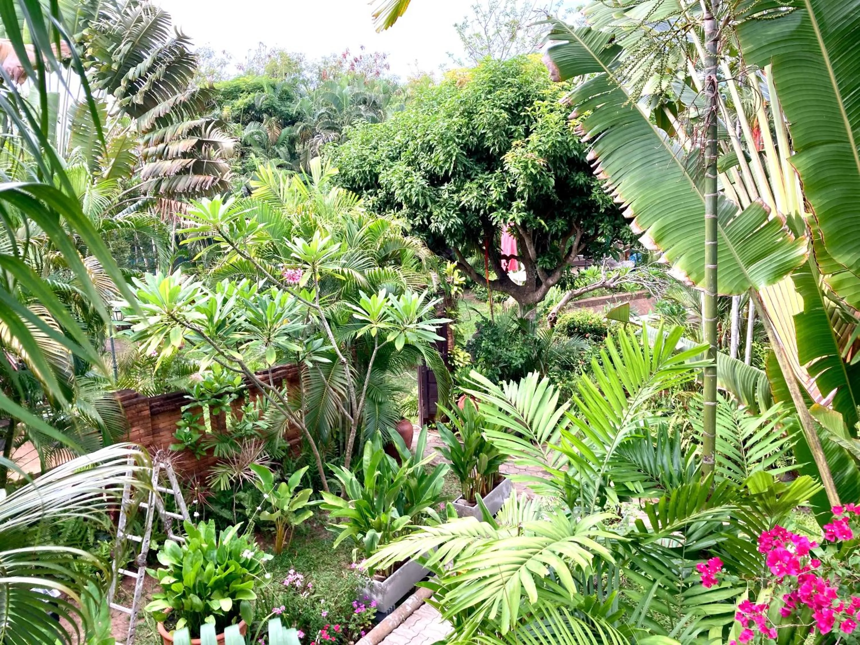 Natural landscape in Ban Kaew Villas