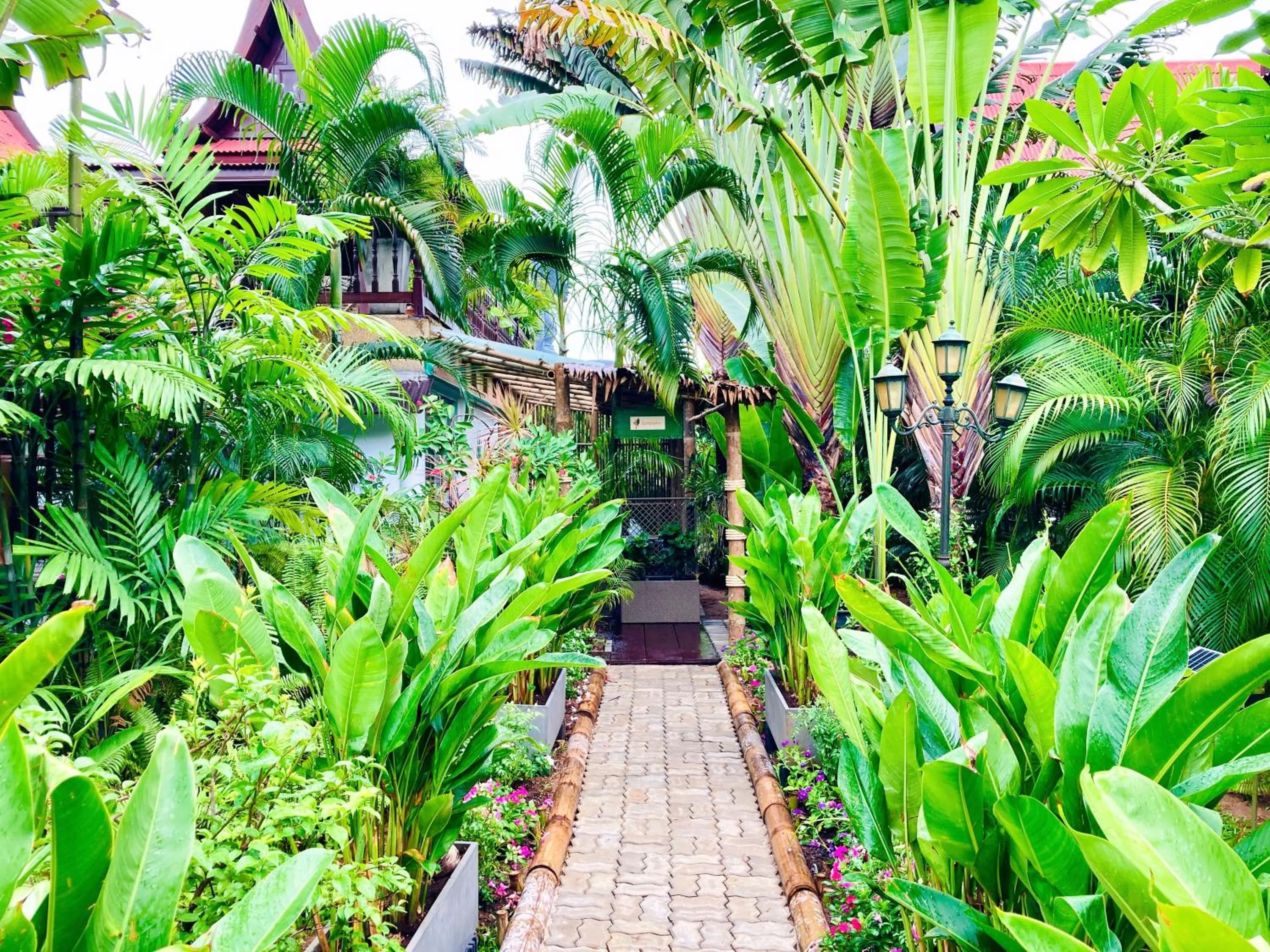 Natural landscape in Ban Kaew Villas