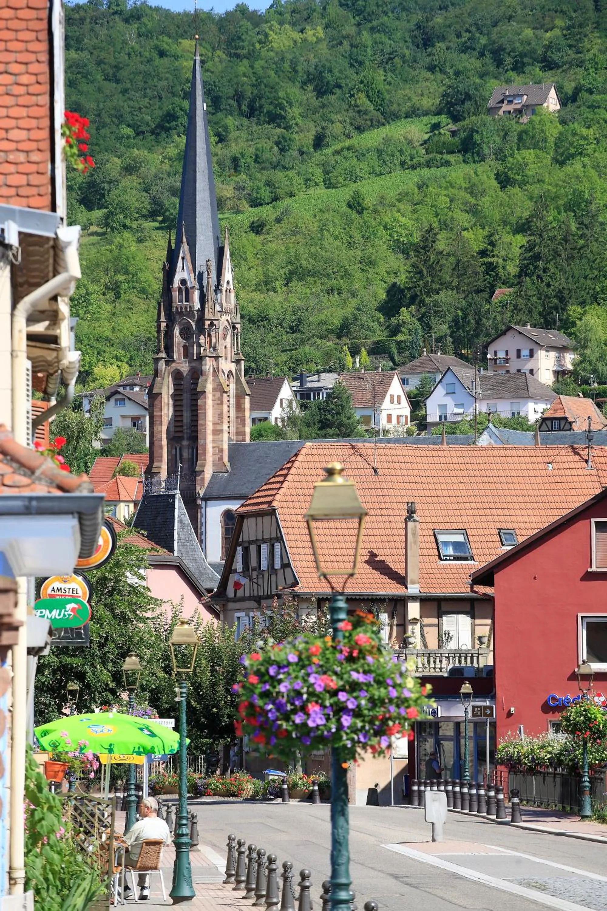 Hiking in Logis Hotel L'Ours de Mutzig