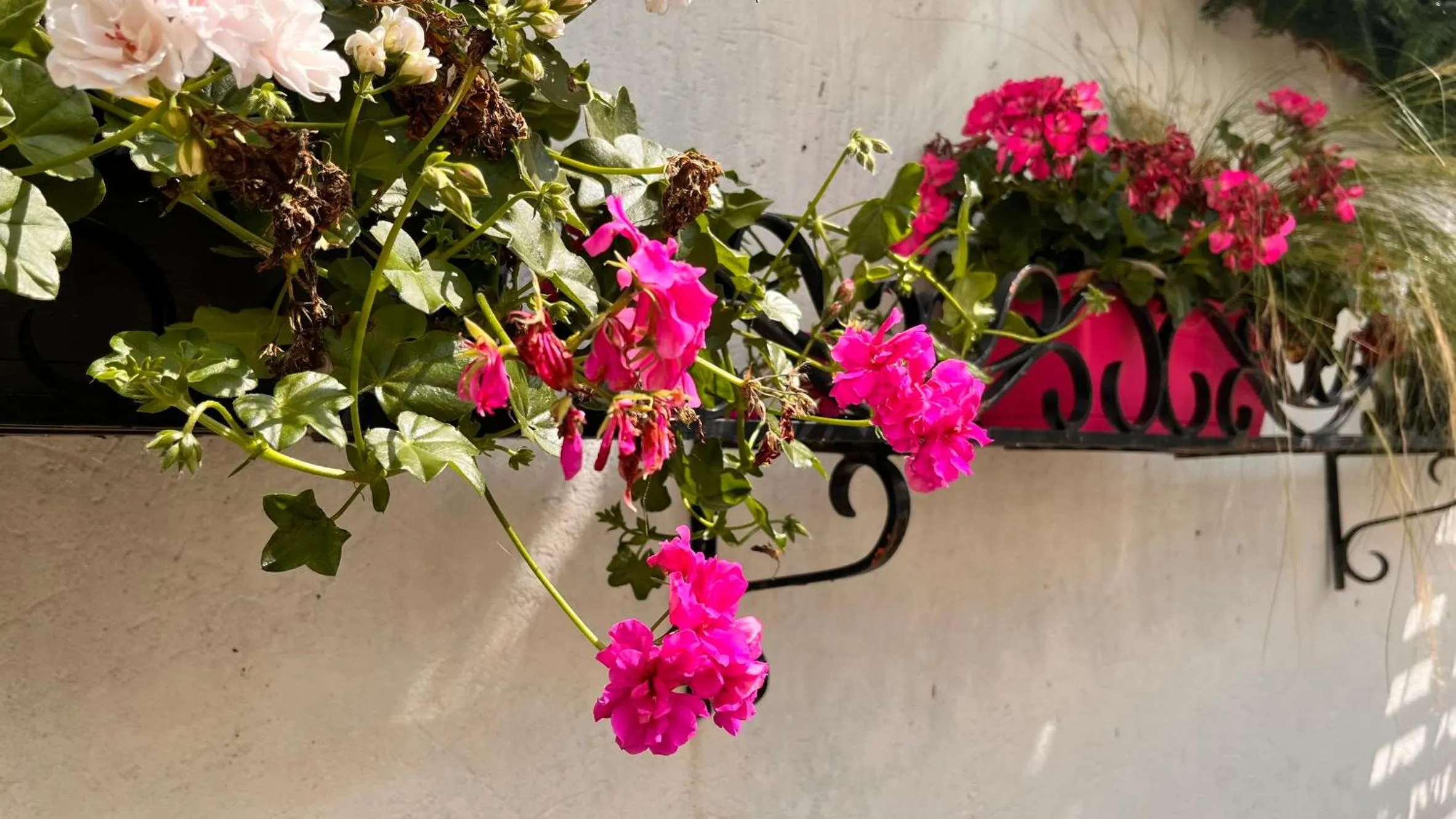 Swimming pool in Logis Hotel L'Ours de Mutzig
