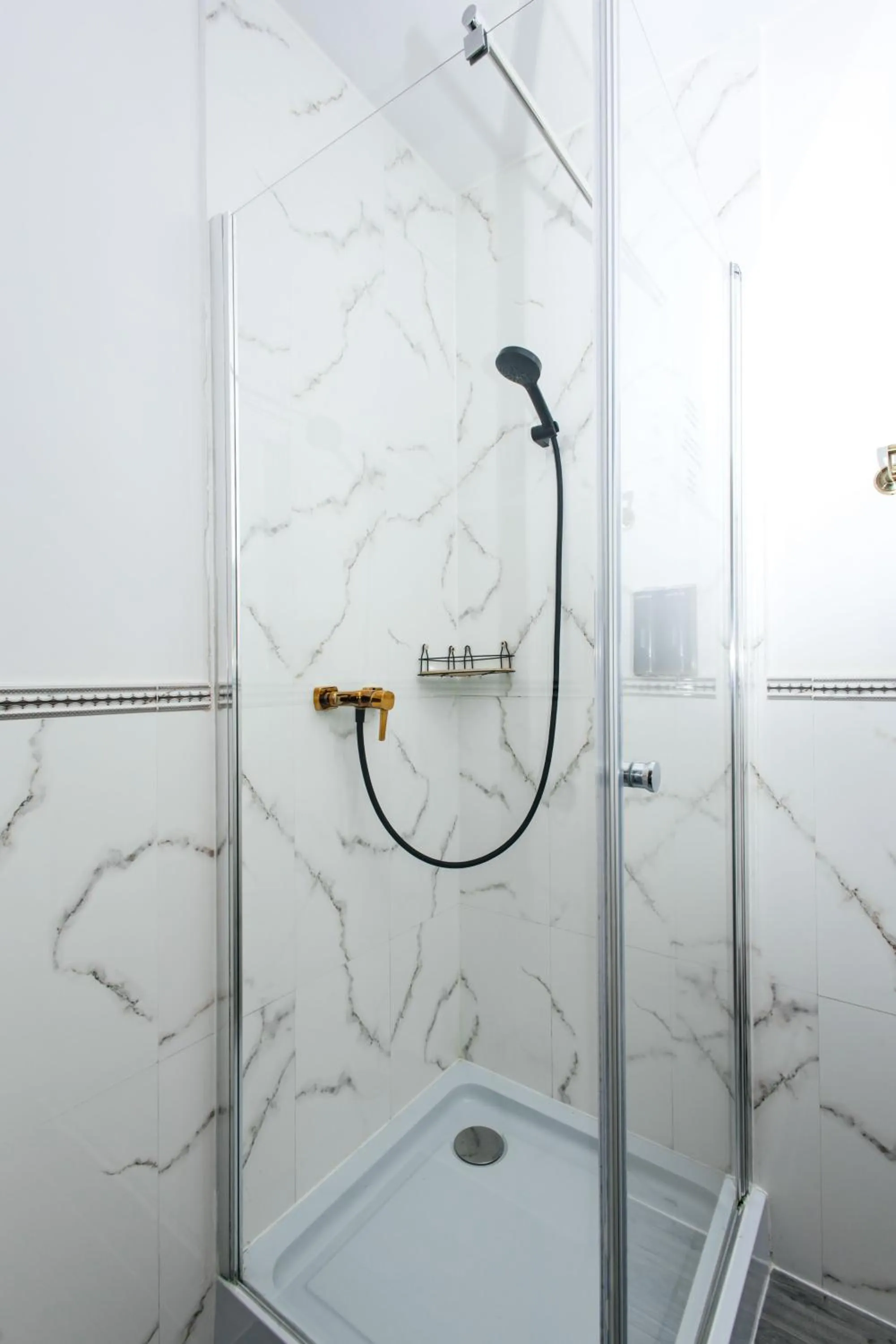 Shower in Elegant Apartments