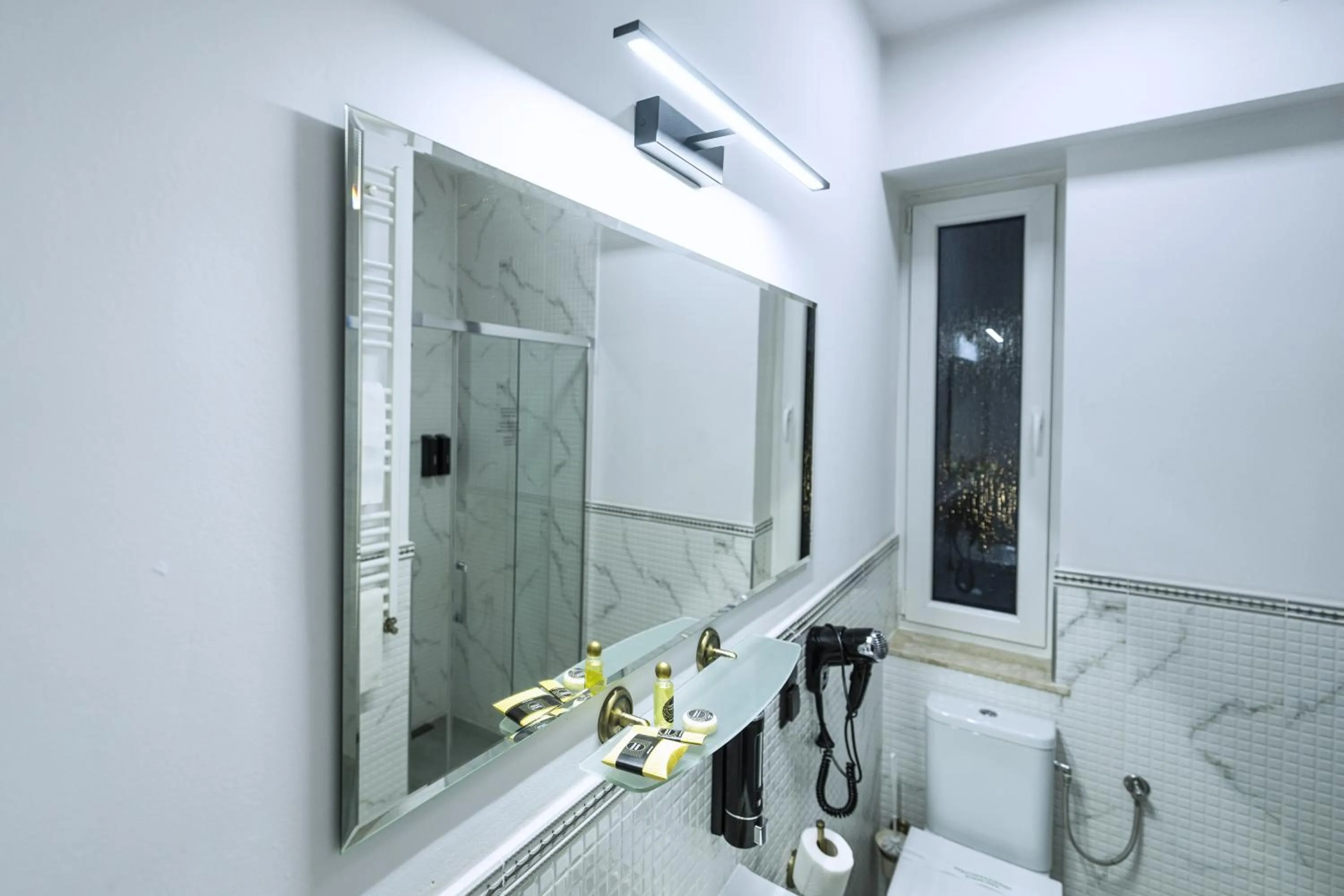 Shower in Elegant Apartments