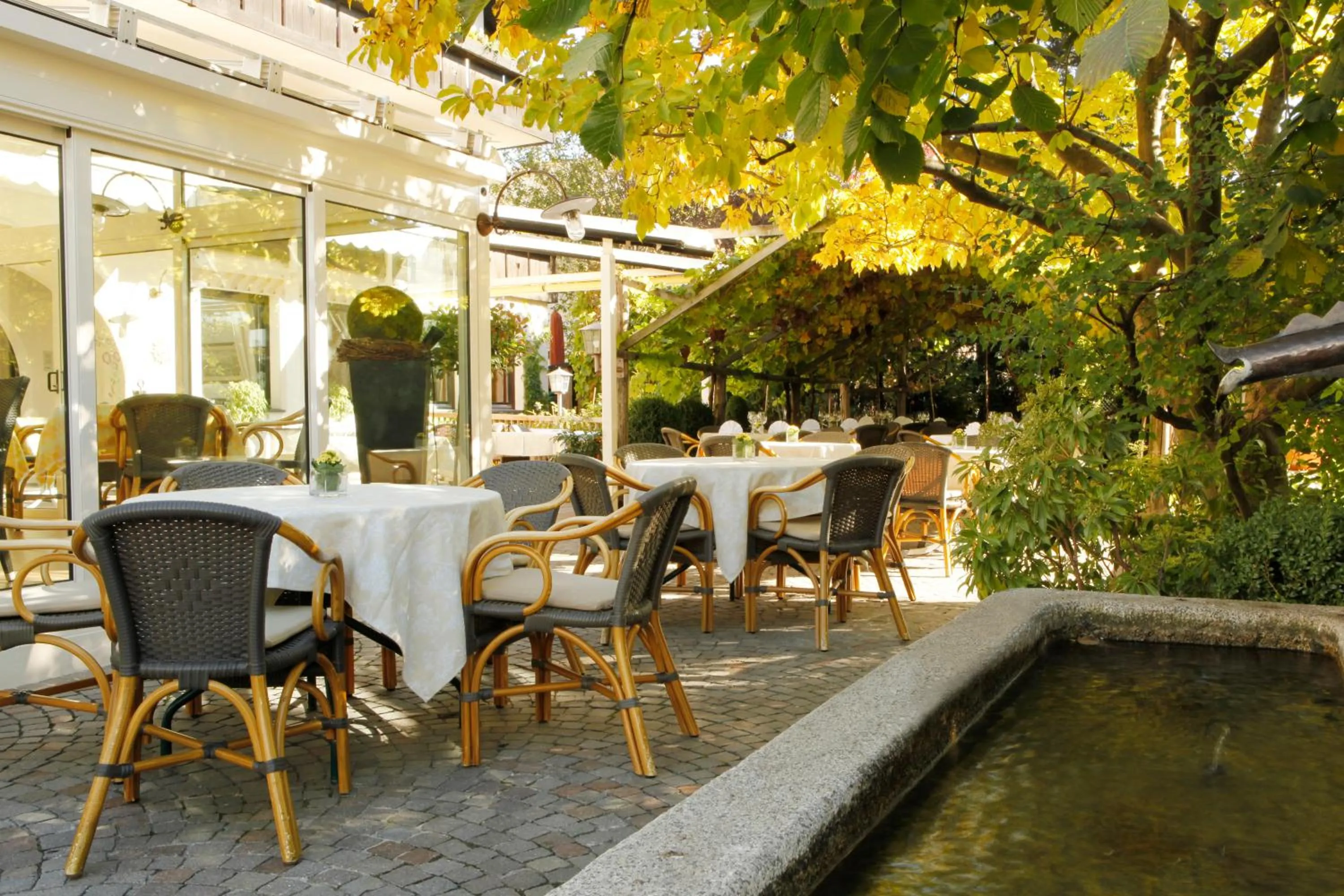 Garden view in Parkhotel Tirolerhof