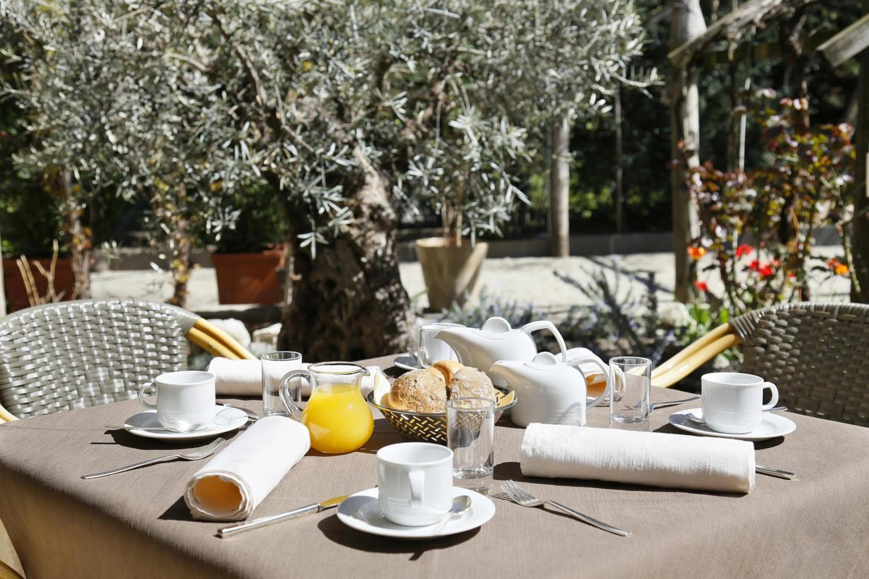 Garden in Parkhotel Tirolerhof
