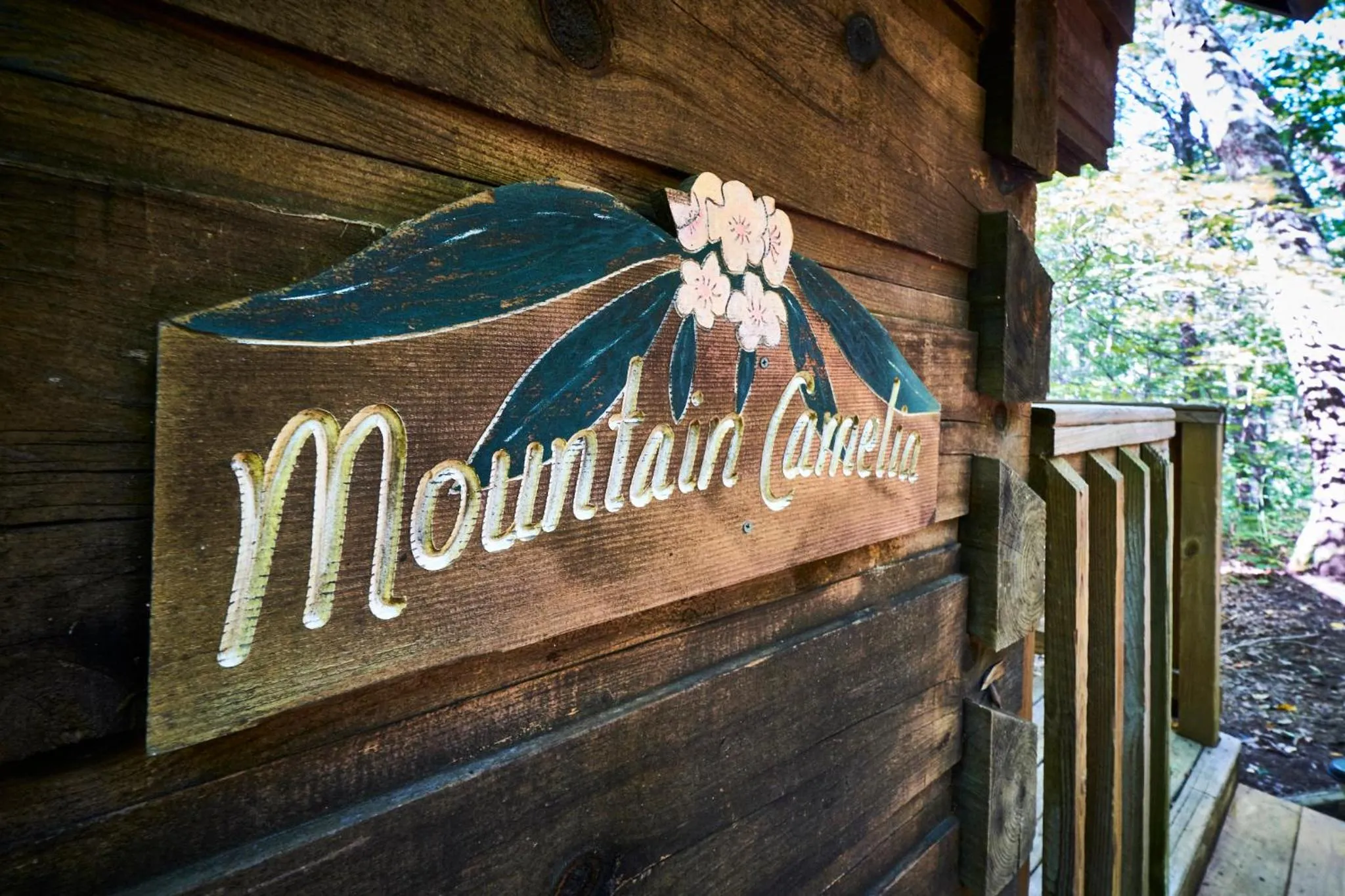 Gatlinburg Adventure Cabins