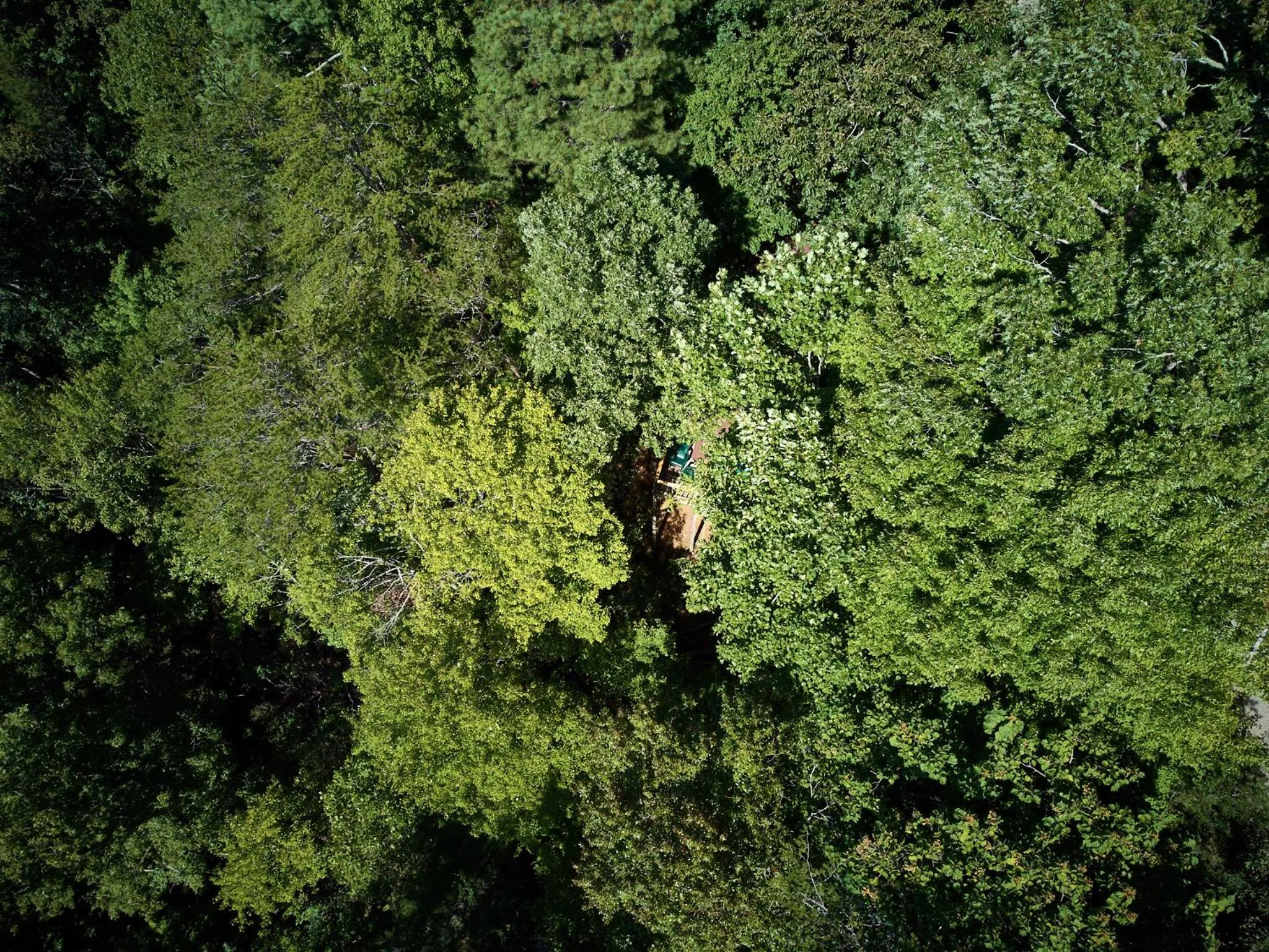 Gatlinburg Adventure Cabins