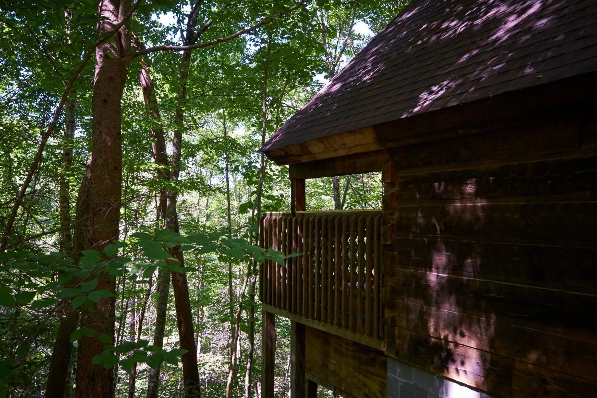 Gatlinburg Adventure Cabins